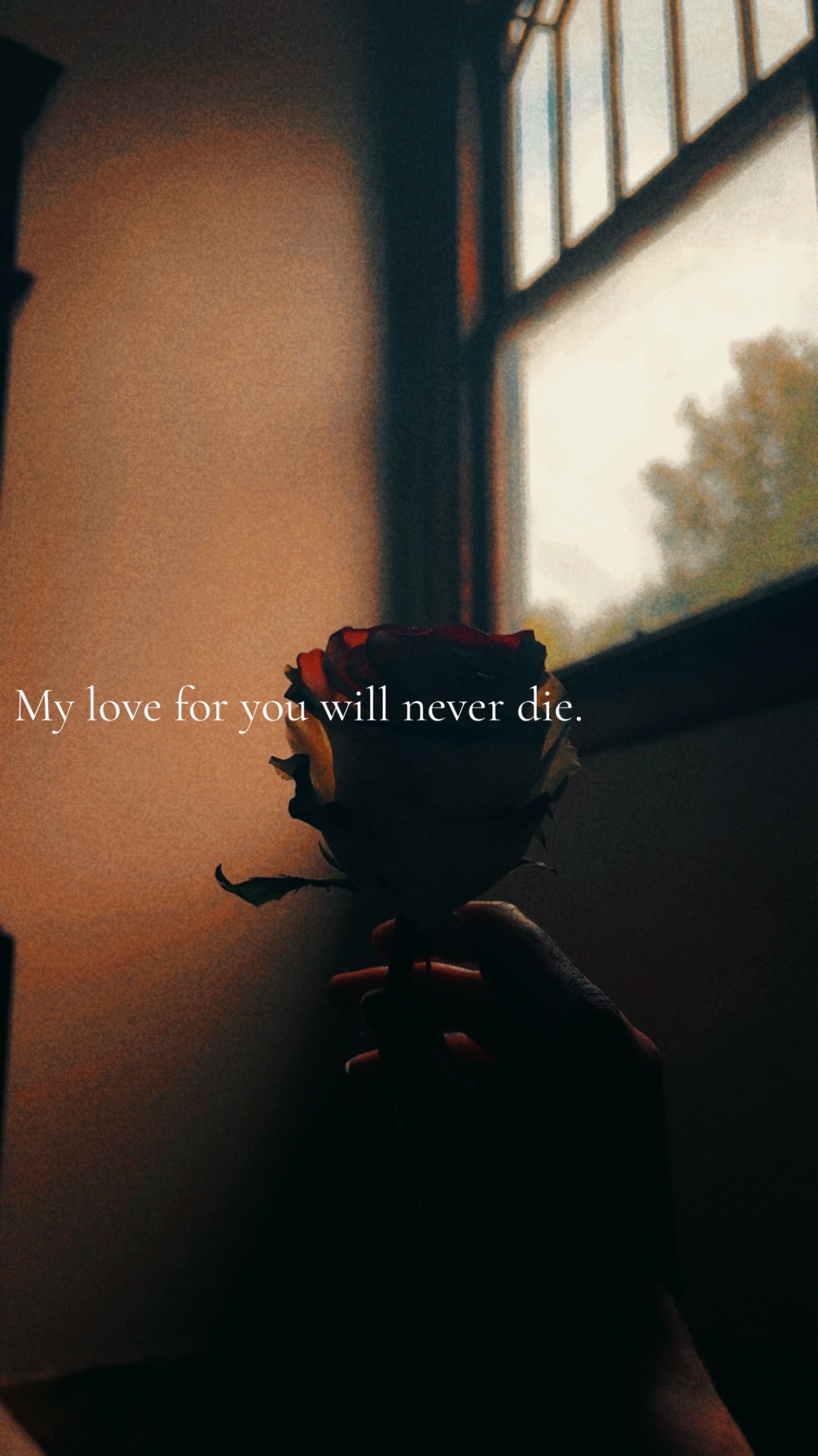 @Heather 🥀