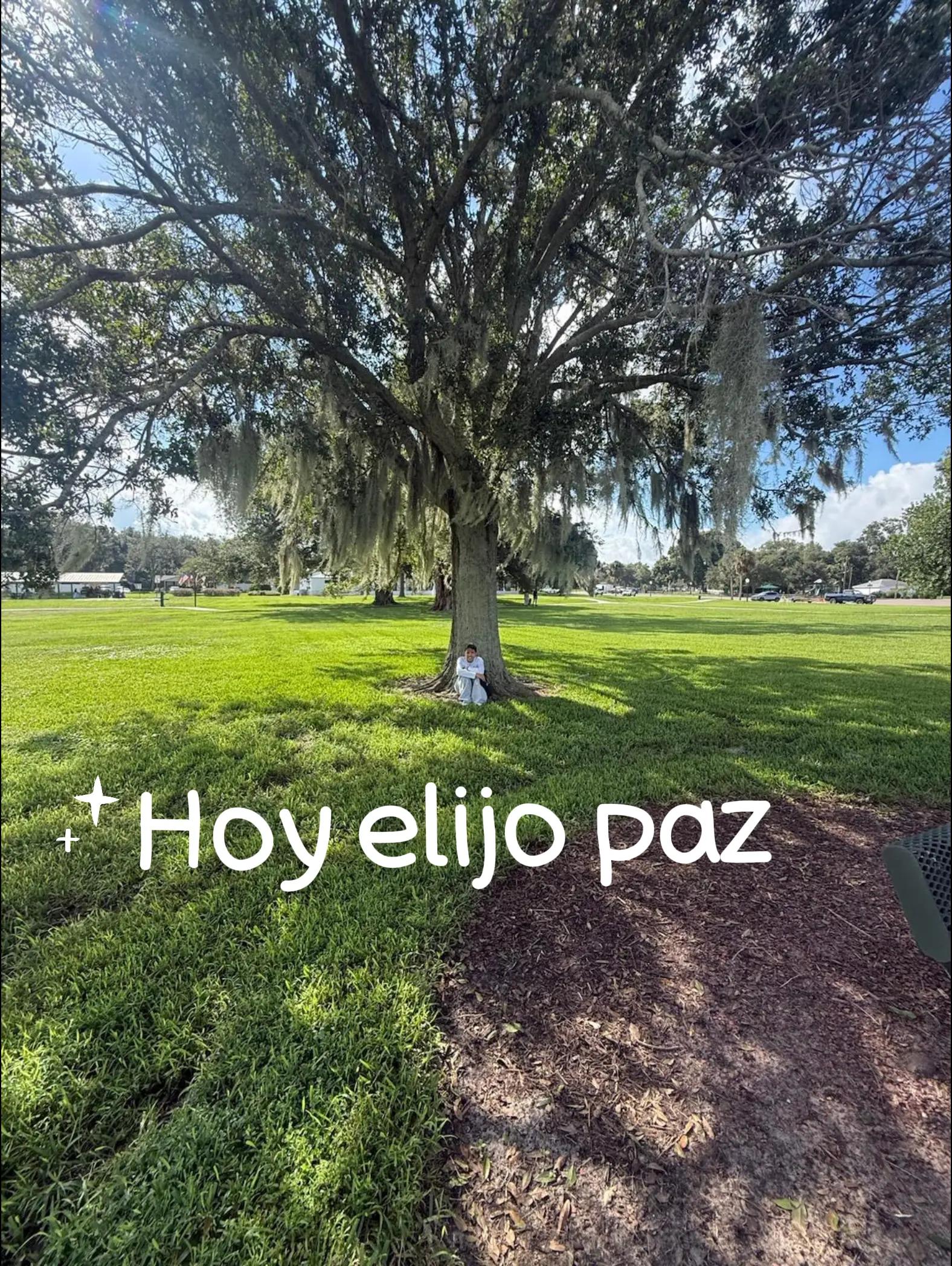 @El límite es el cielo.