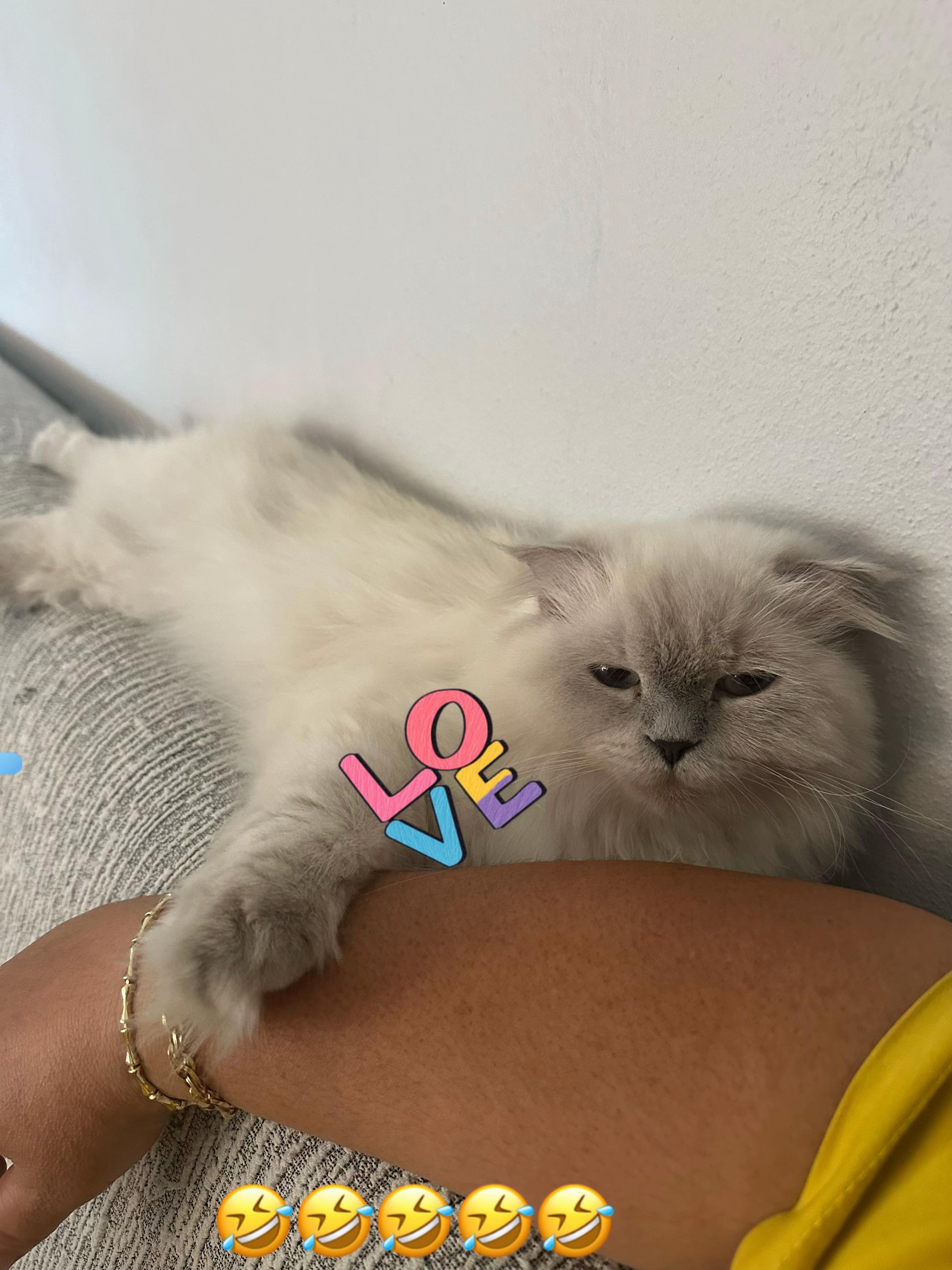 @Gizemli hatun🧿❤️