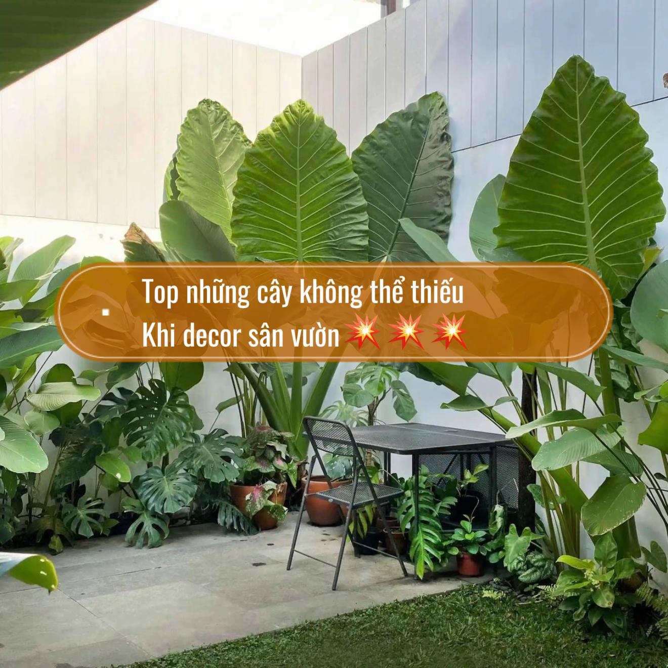 @Tiệm Lá Nhỏ