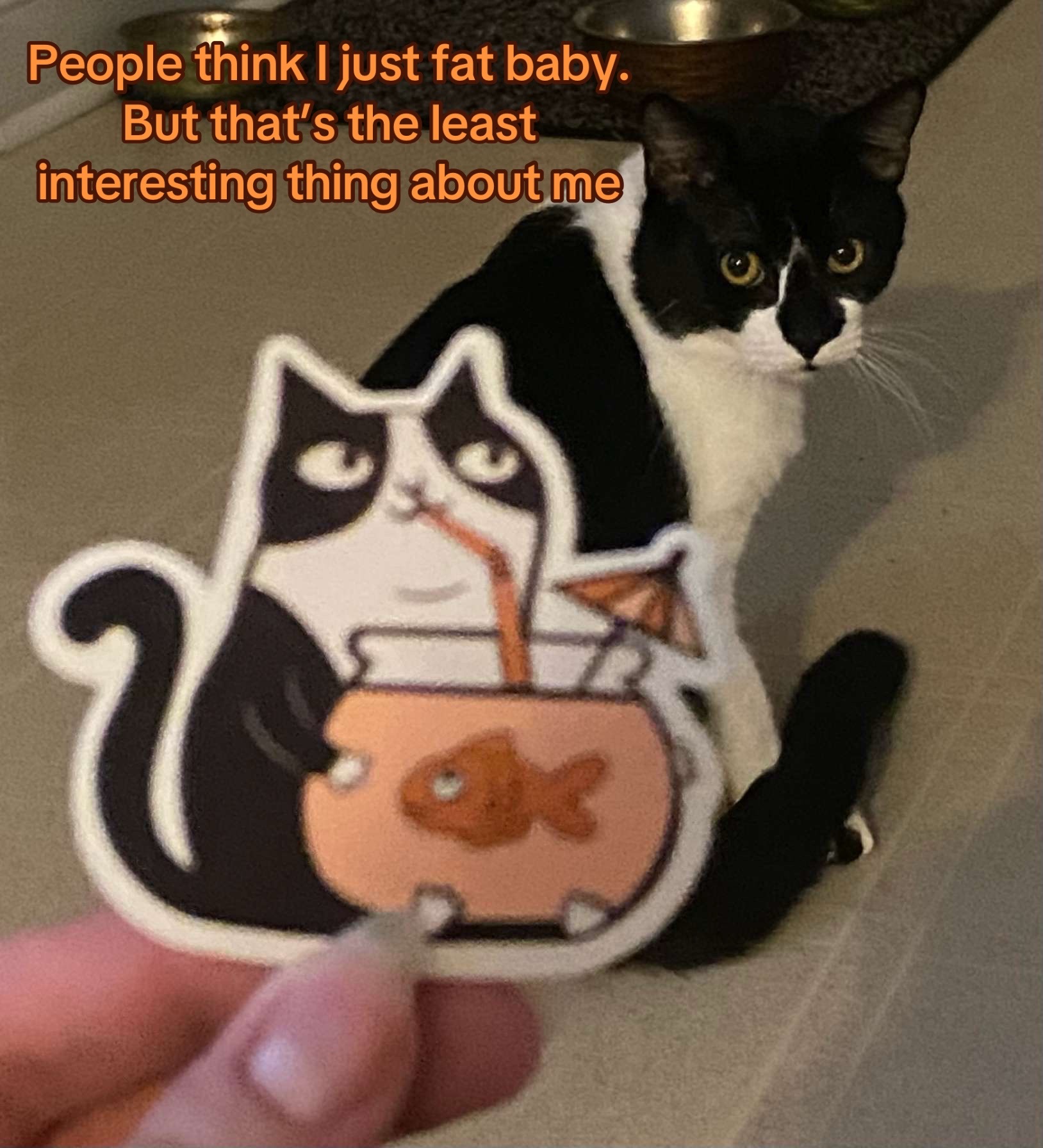 @Ava 🍊