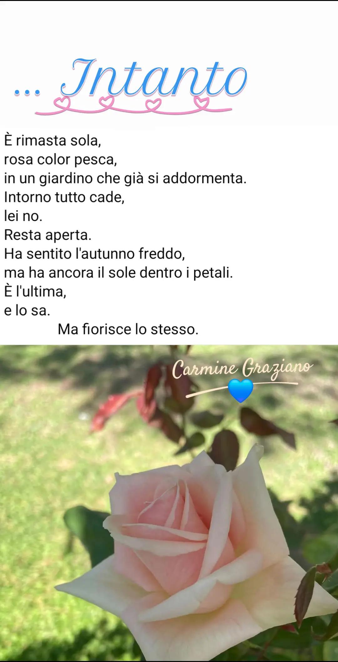 @Carmine Graziano