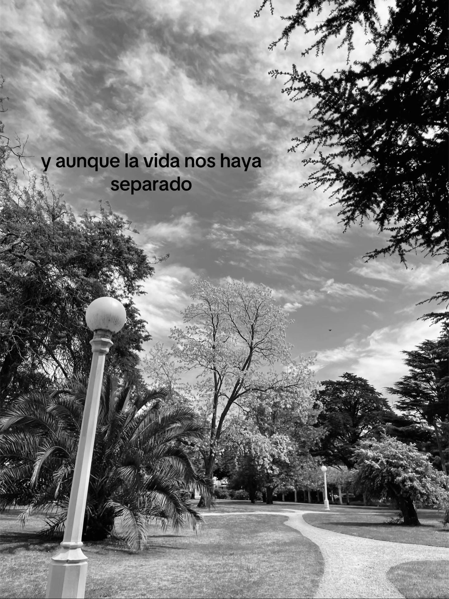 @user24001489059