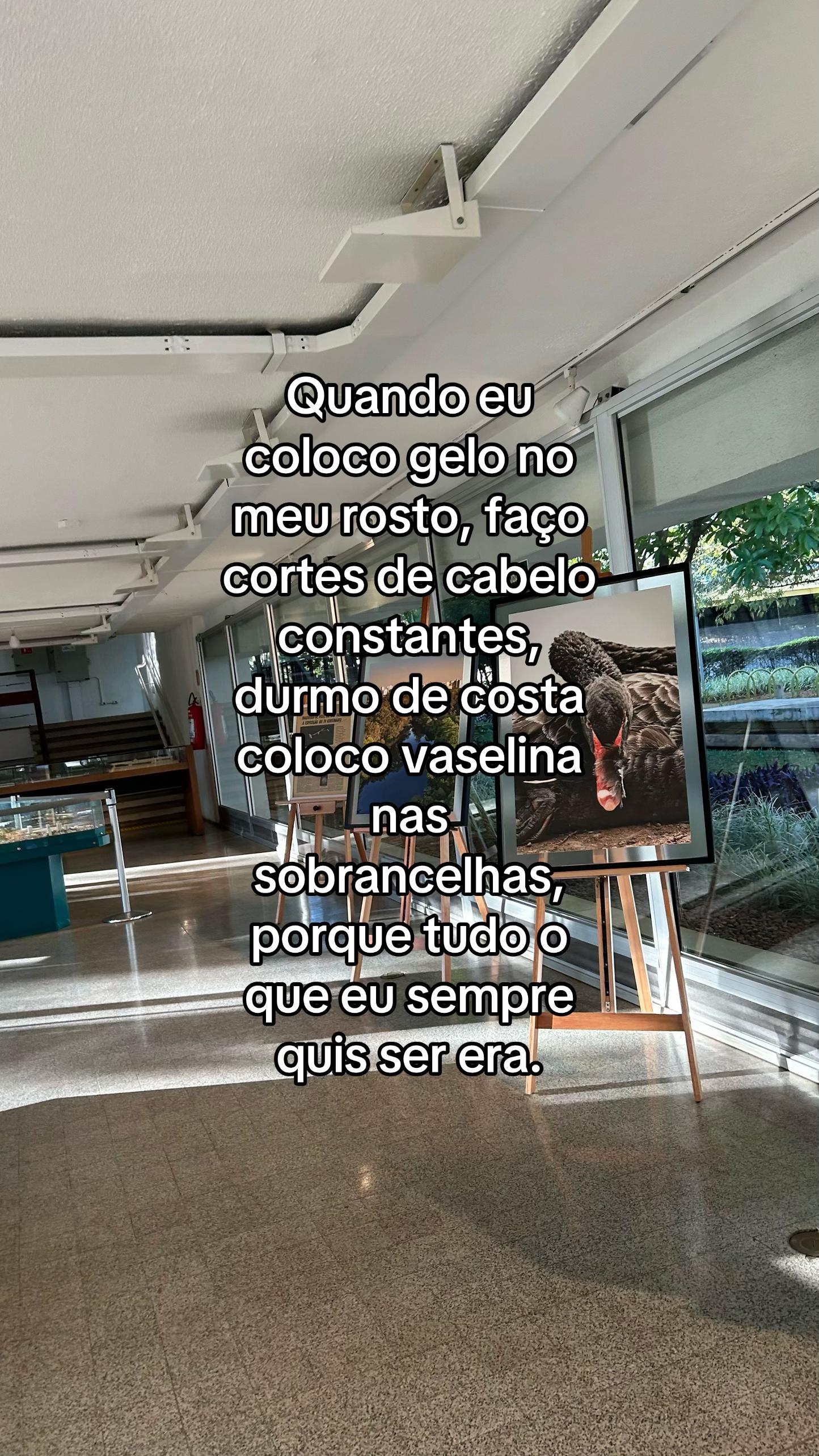 @Mayk