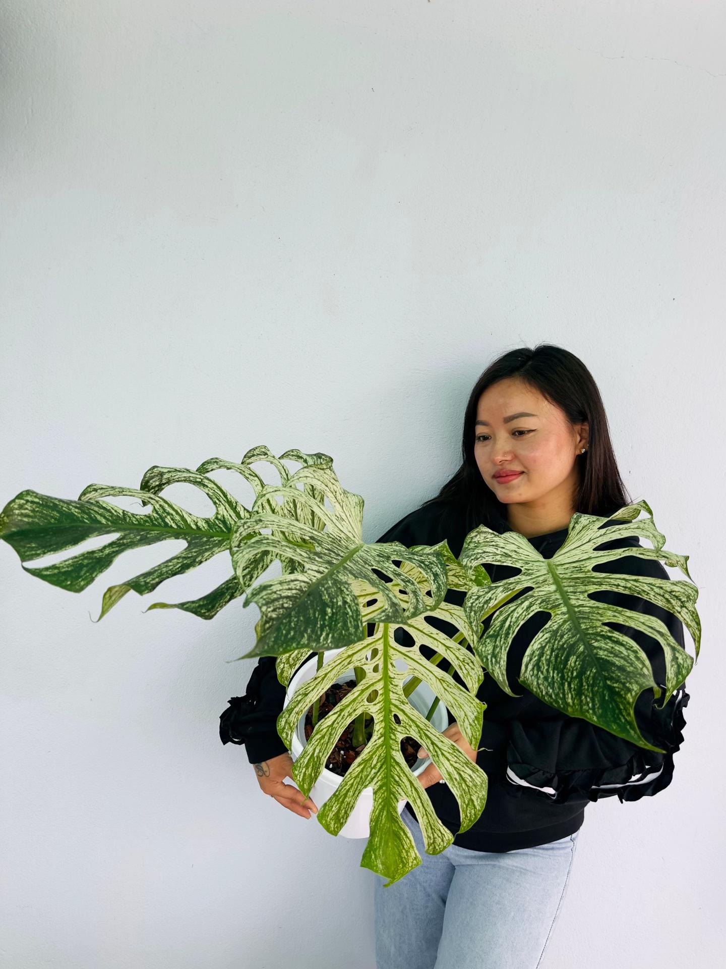 @Plantlife50