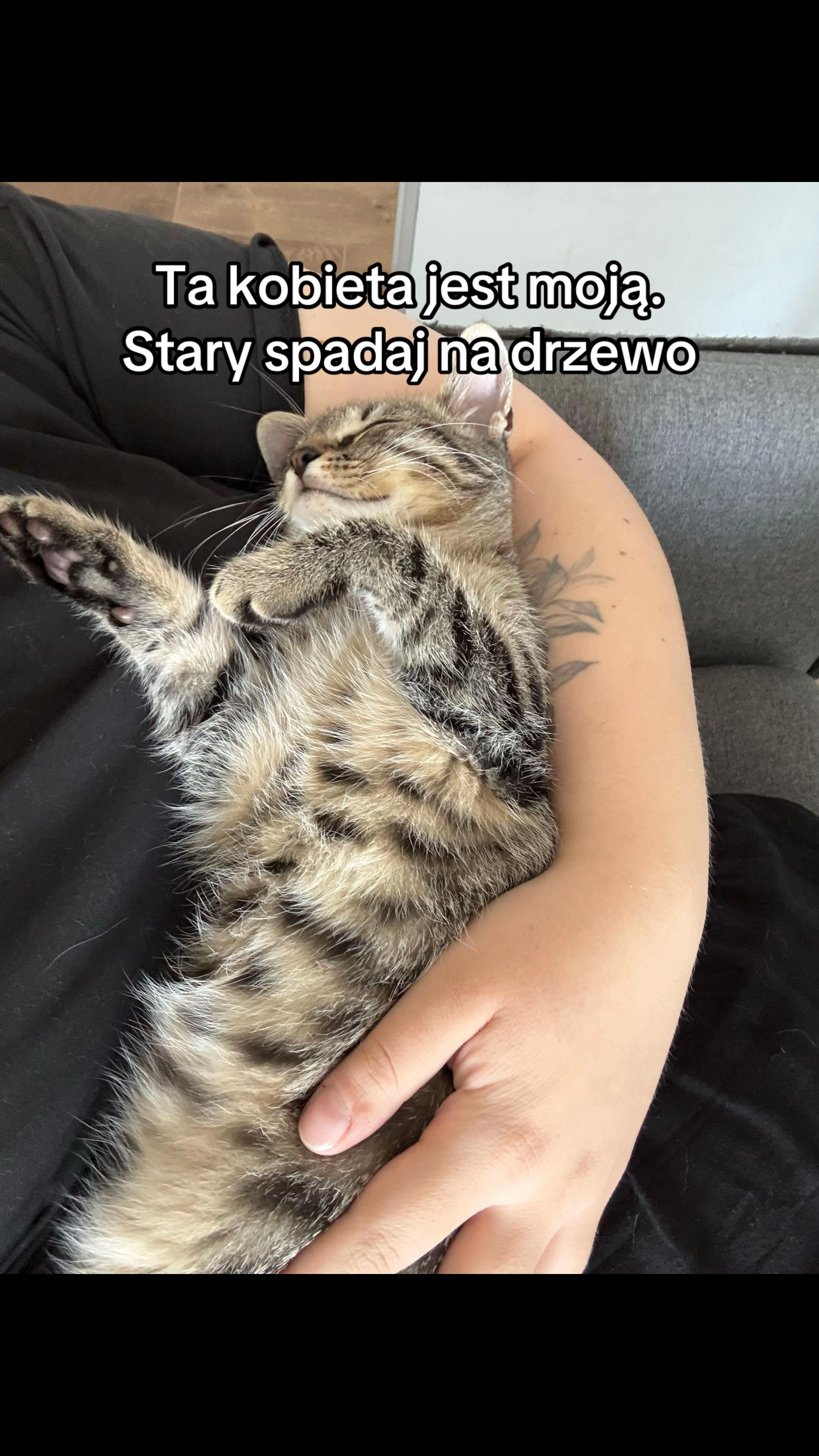 @pan_pyzek