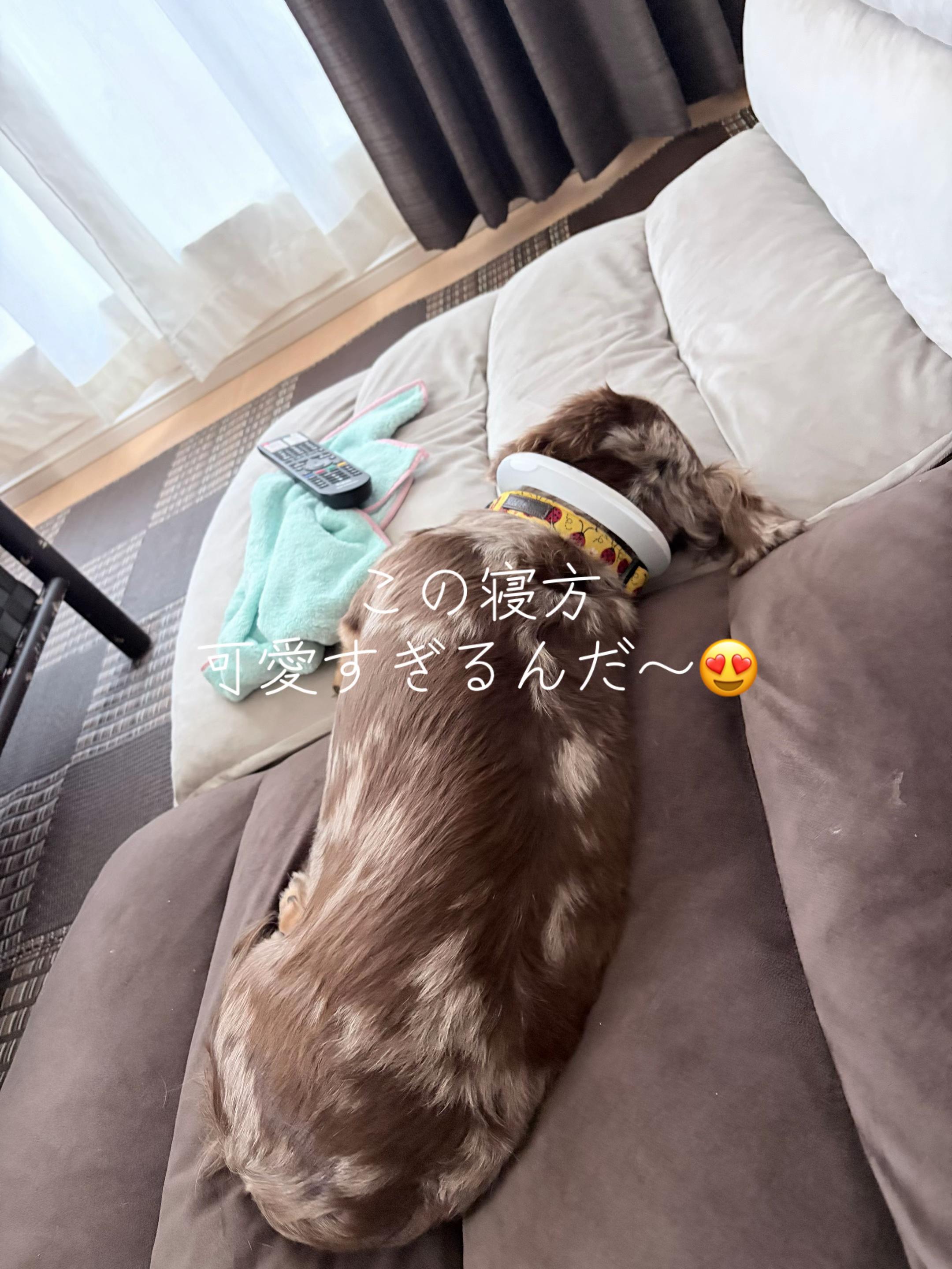 @ケン