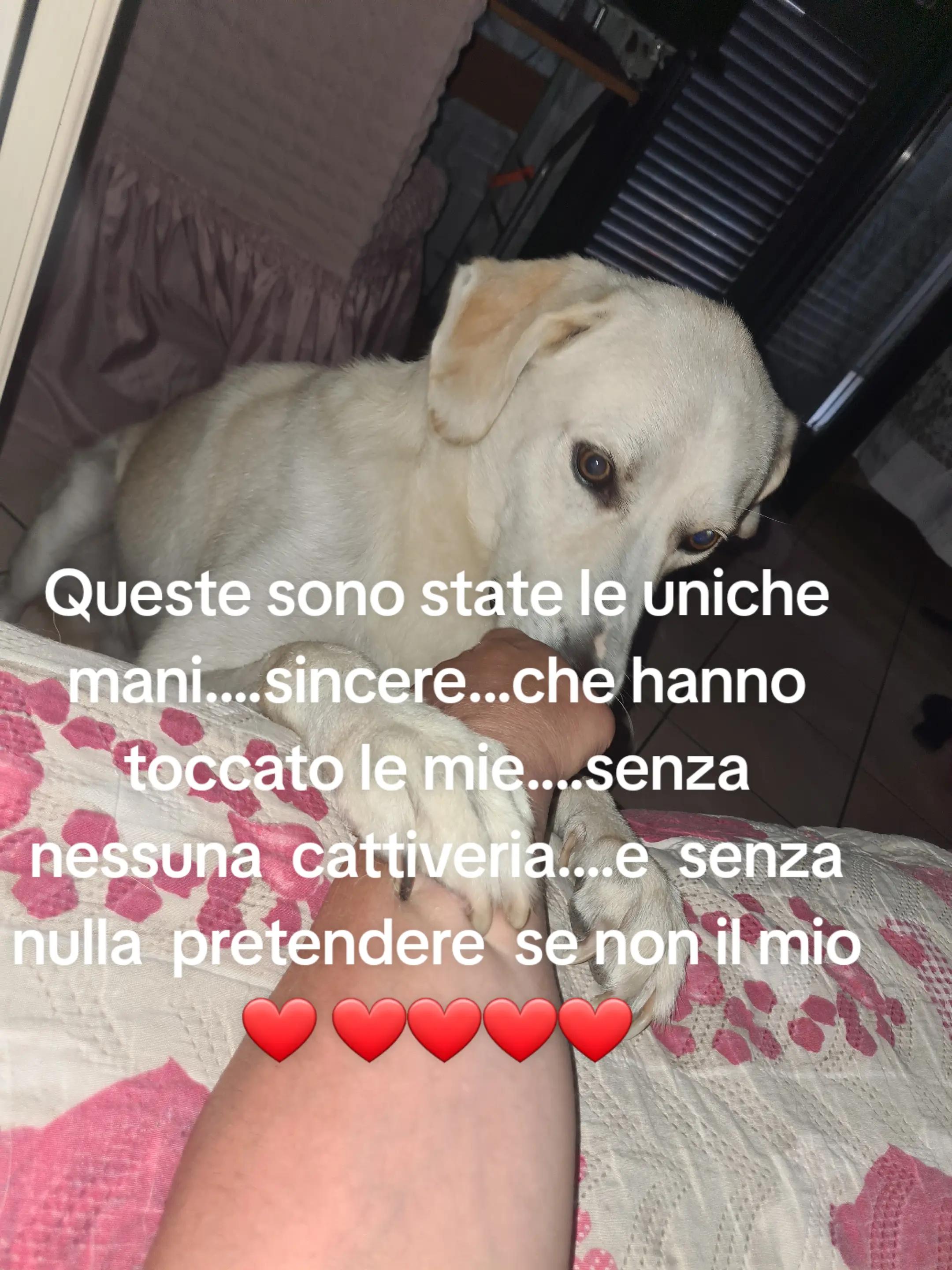 @Anna ❤️