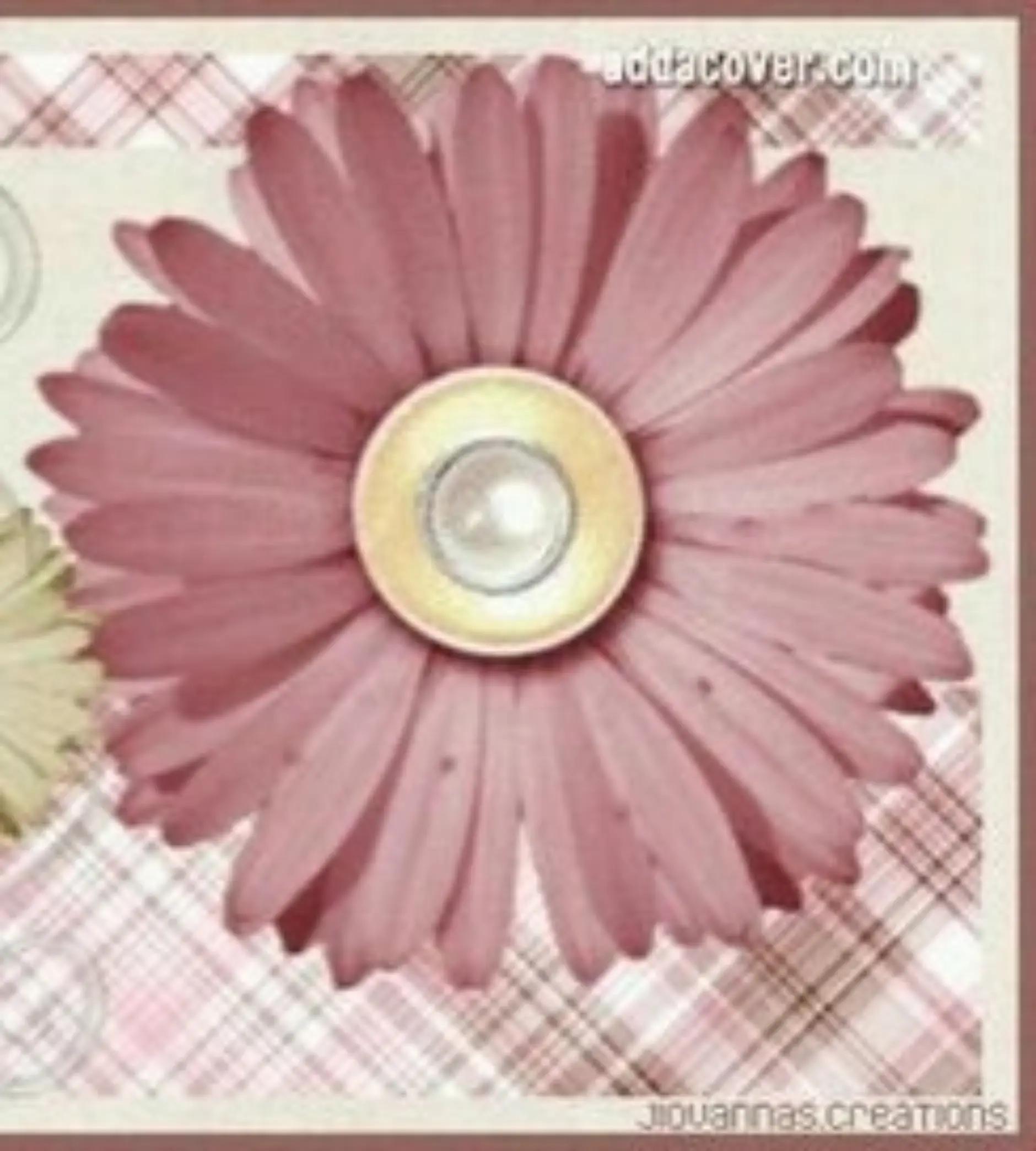 @⋆｡˚꒰ঌ𝓡𝓮𝓫𝓮𝓴𝓪𝓱໒꒱˚｡⋆