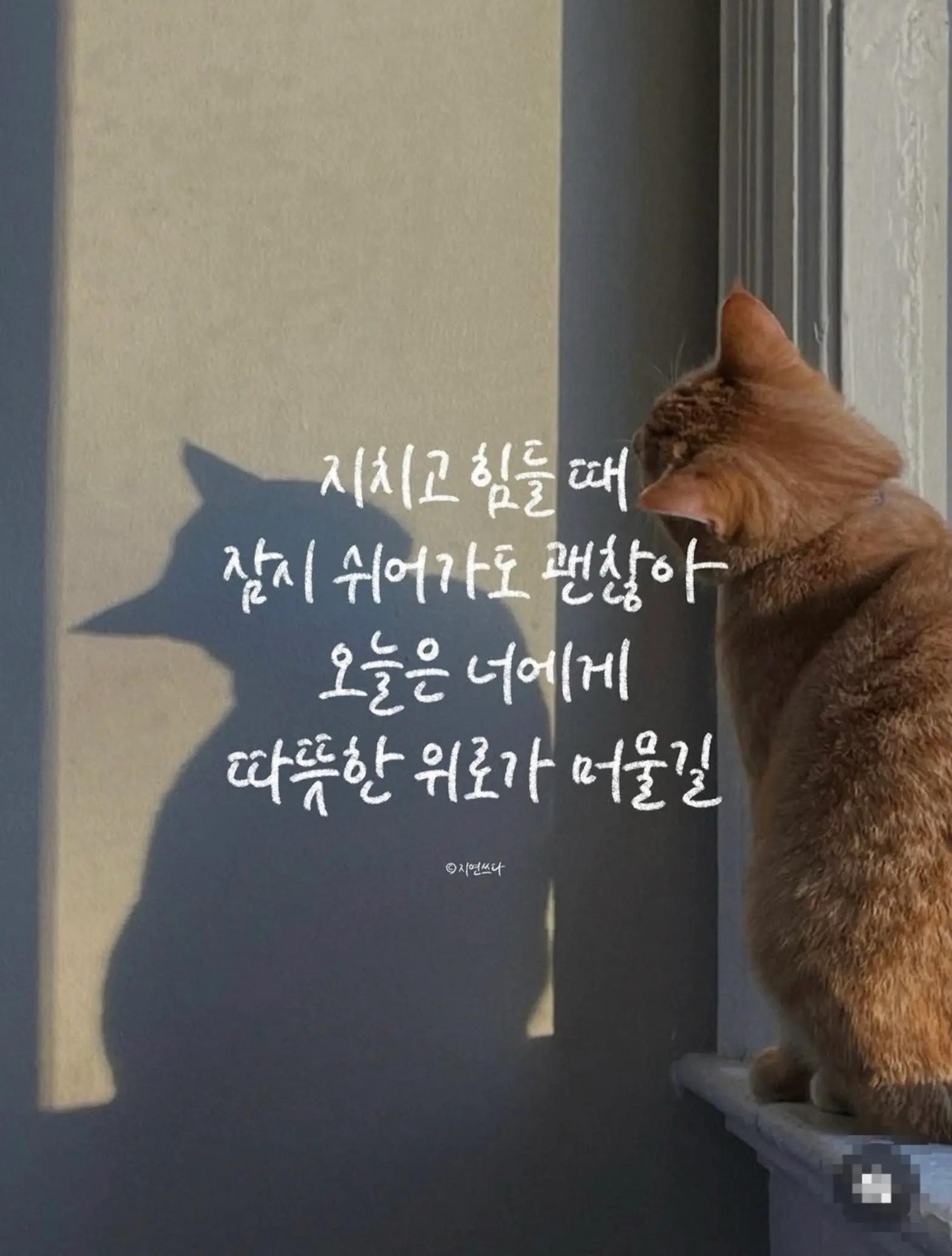 @블루로즈💙BlueRose