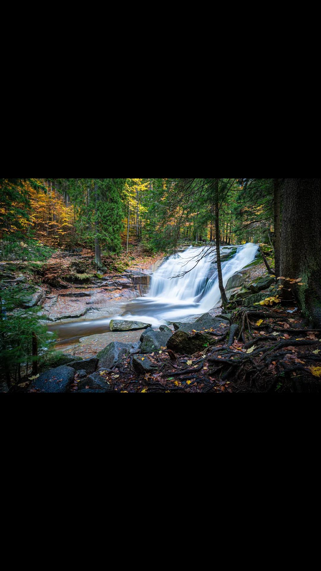 @D. Simmank Photo