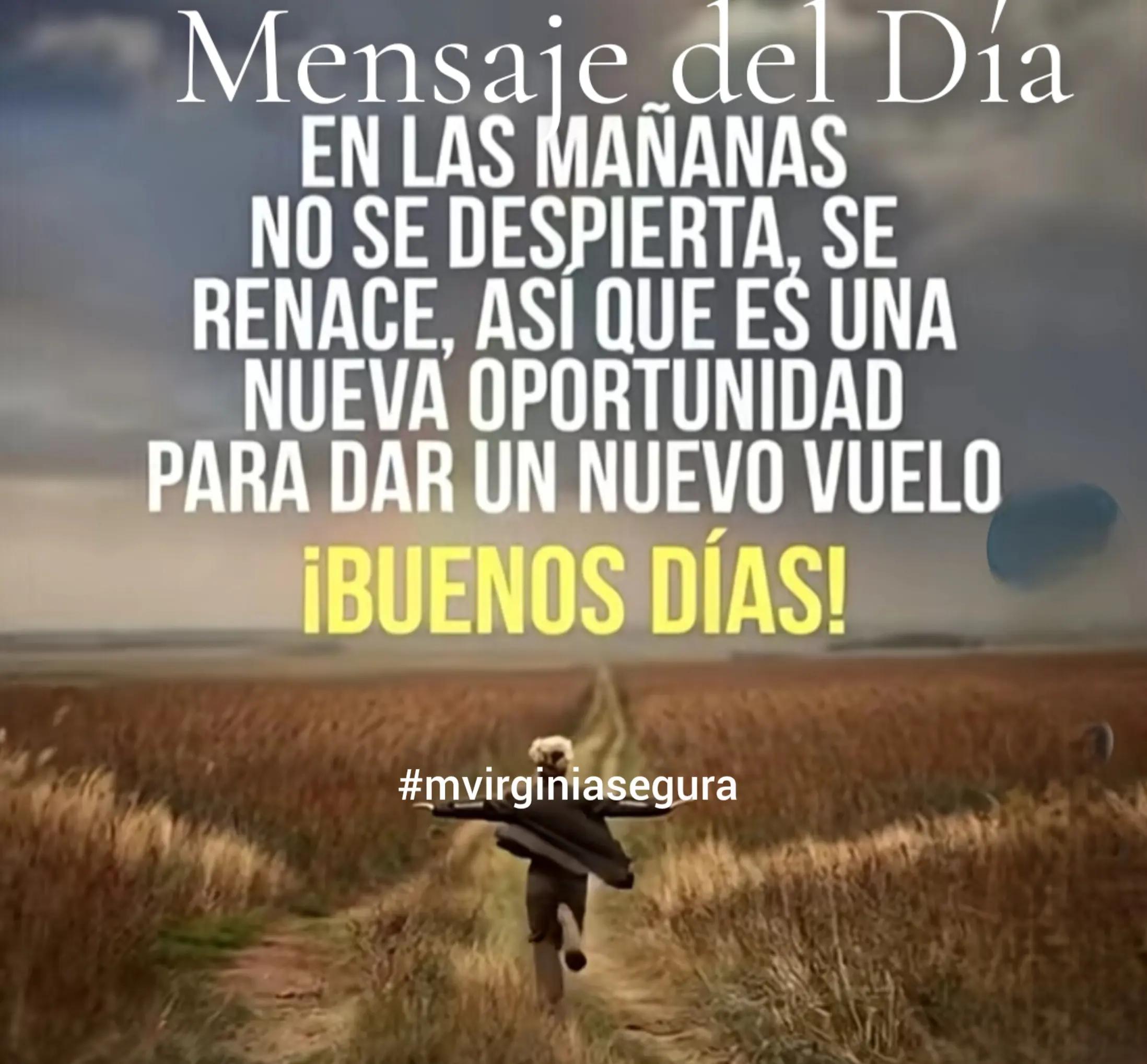 @LA VerdadLQUESEDICETV  Mvsegur