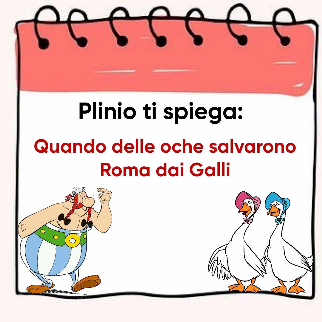 @CuriosicomePlinio