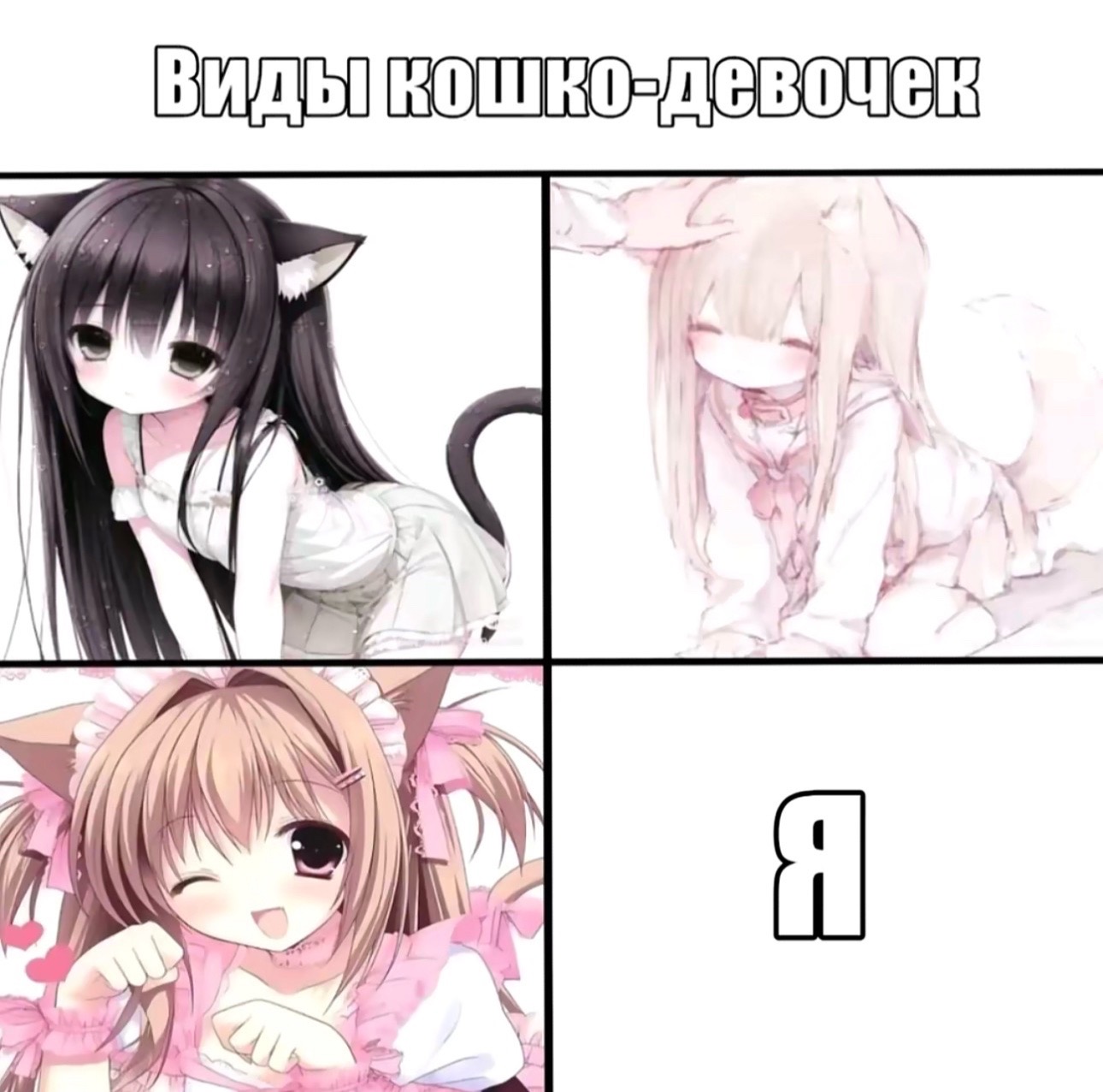 @cryypt11d