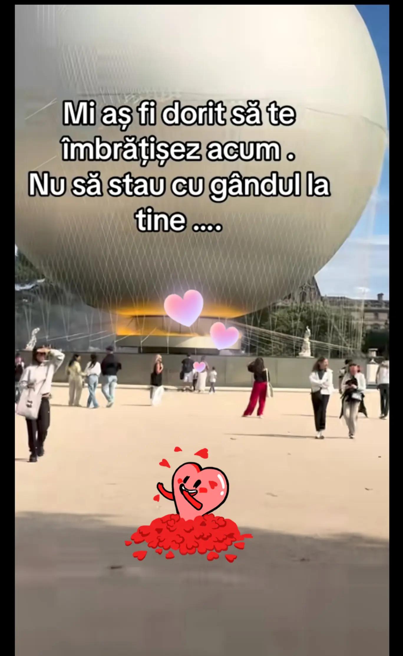 @Alina Bucura