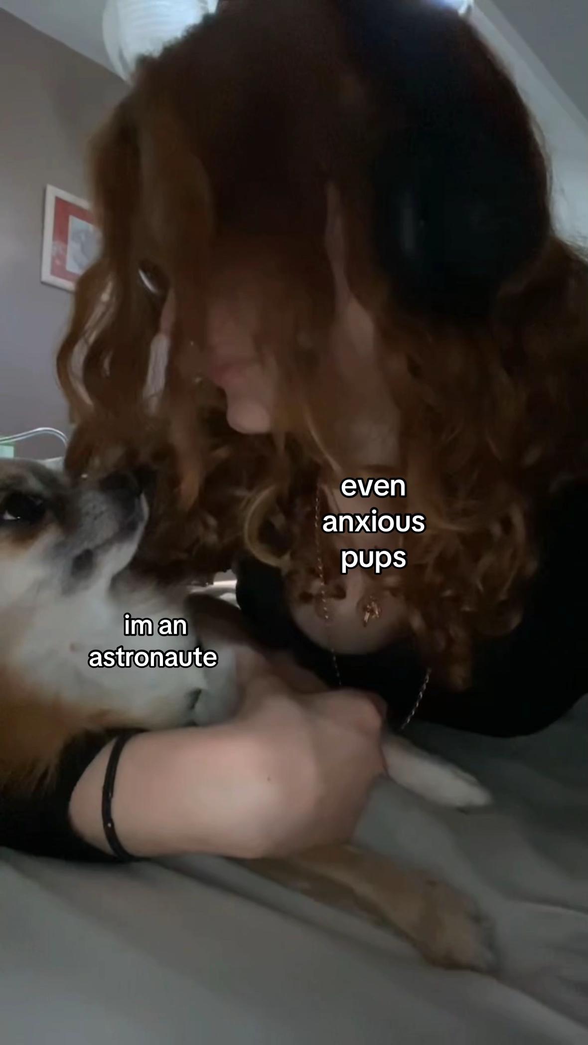 @๏ธ