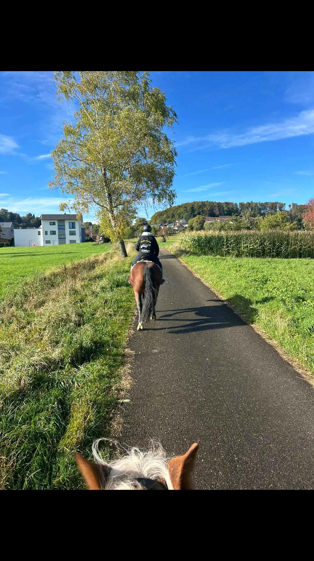 @Cora 🐴 👩🏼&zwj;🌾🐴🦄🤴🏻