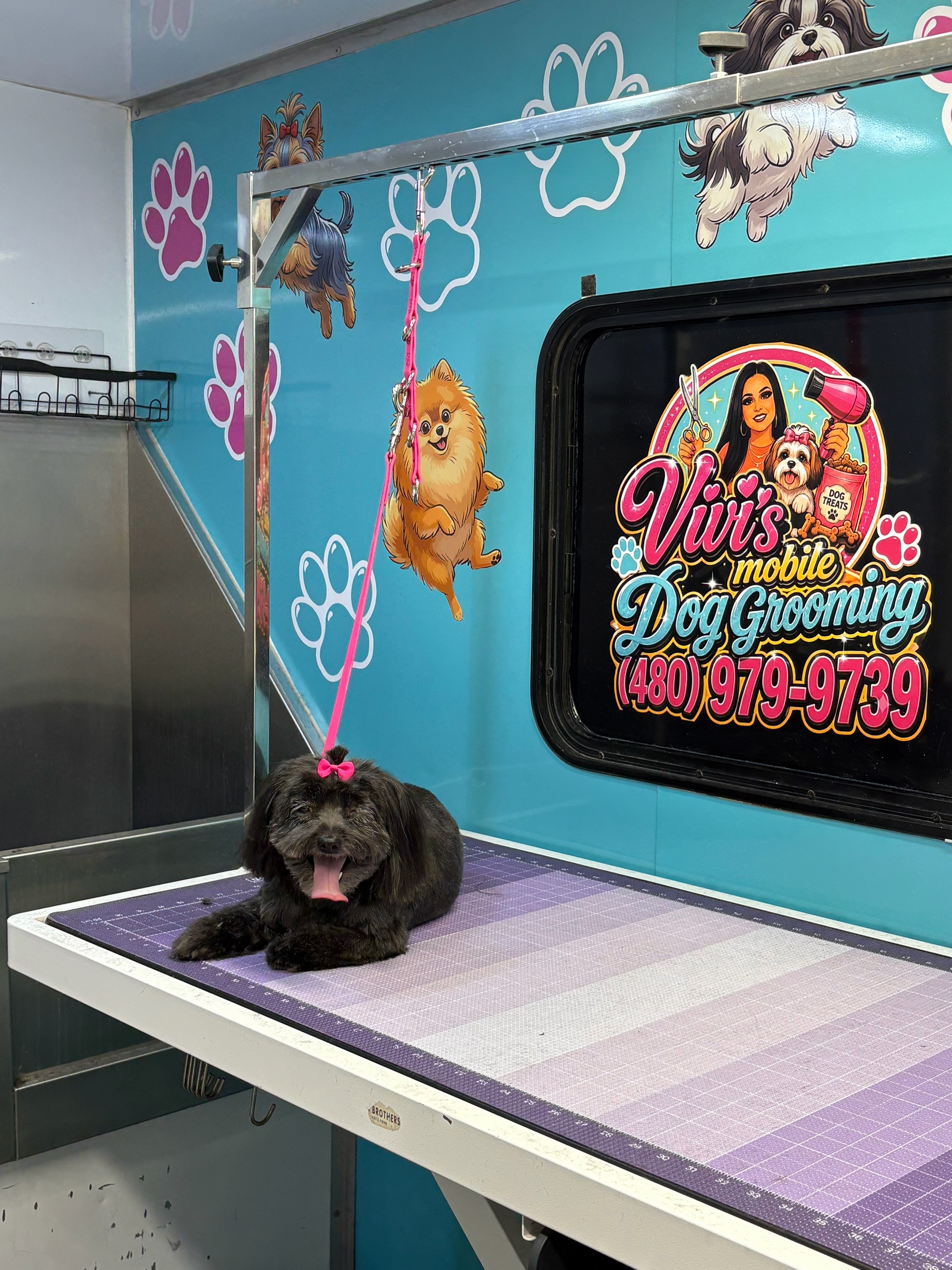@Vivismobiledoggrooming
