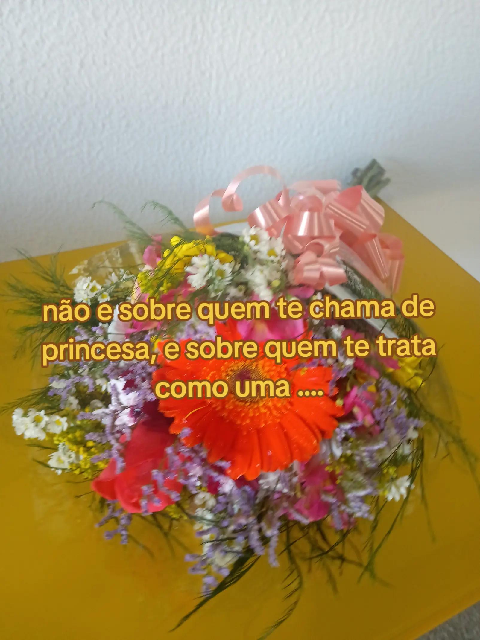 @Ivone Lima