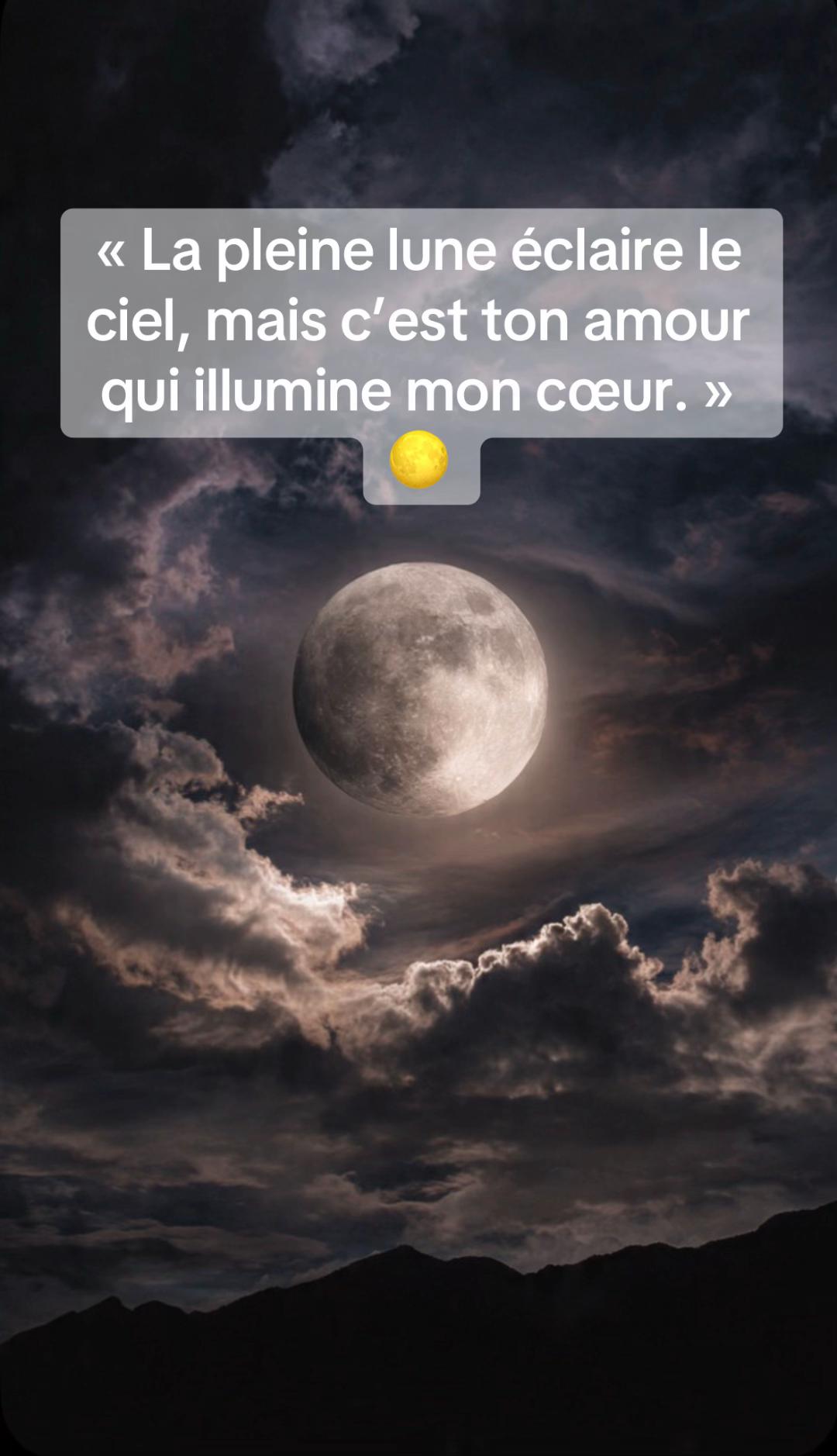 @Mll.Amelie🌺👑🌺