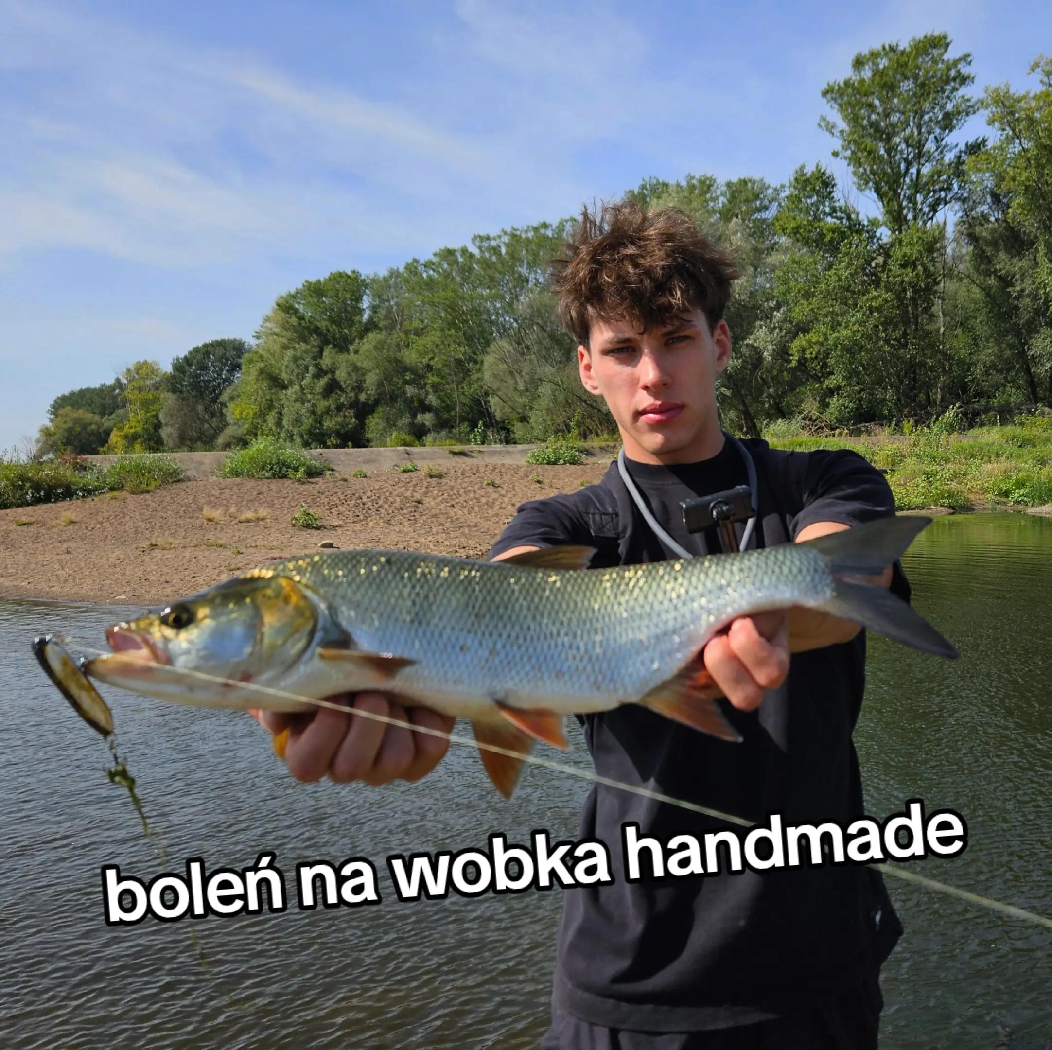 @mfly_lures