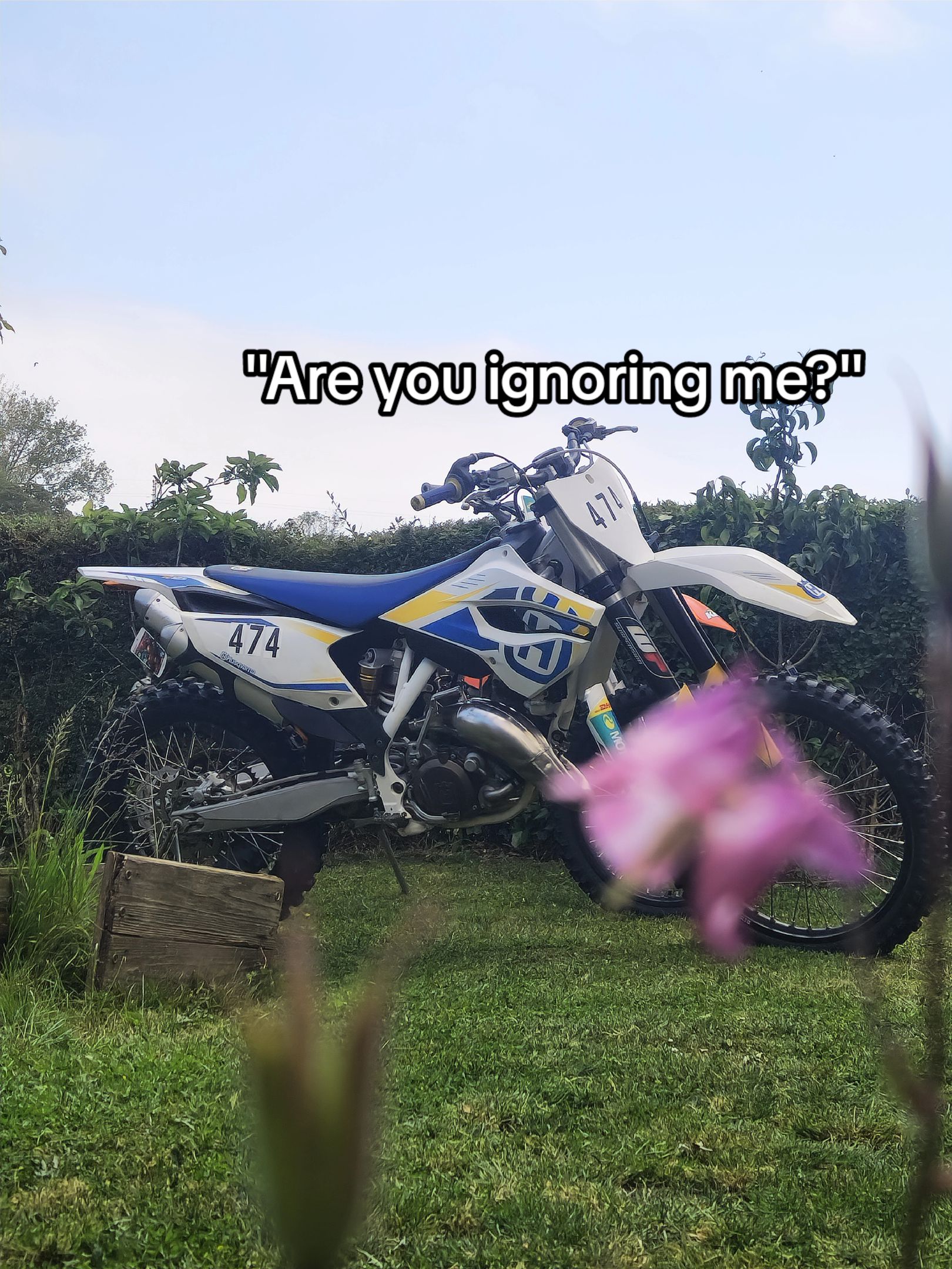 @MX_Lewis