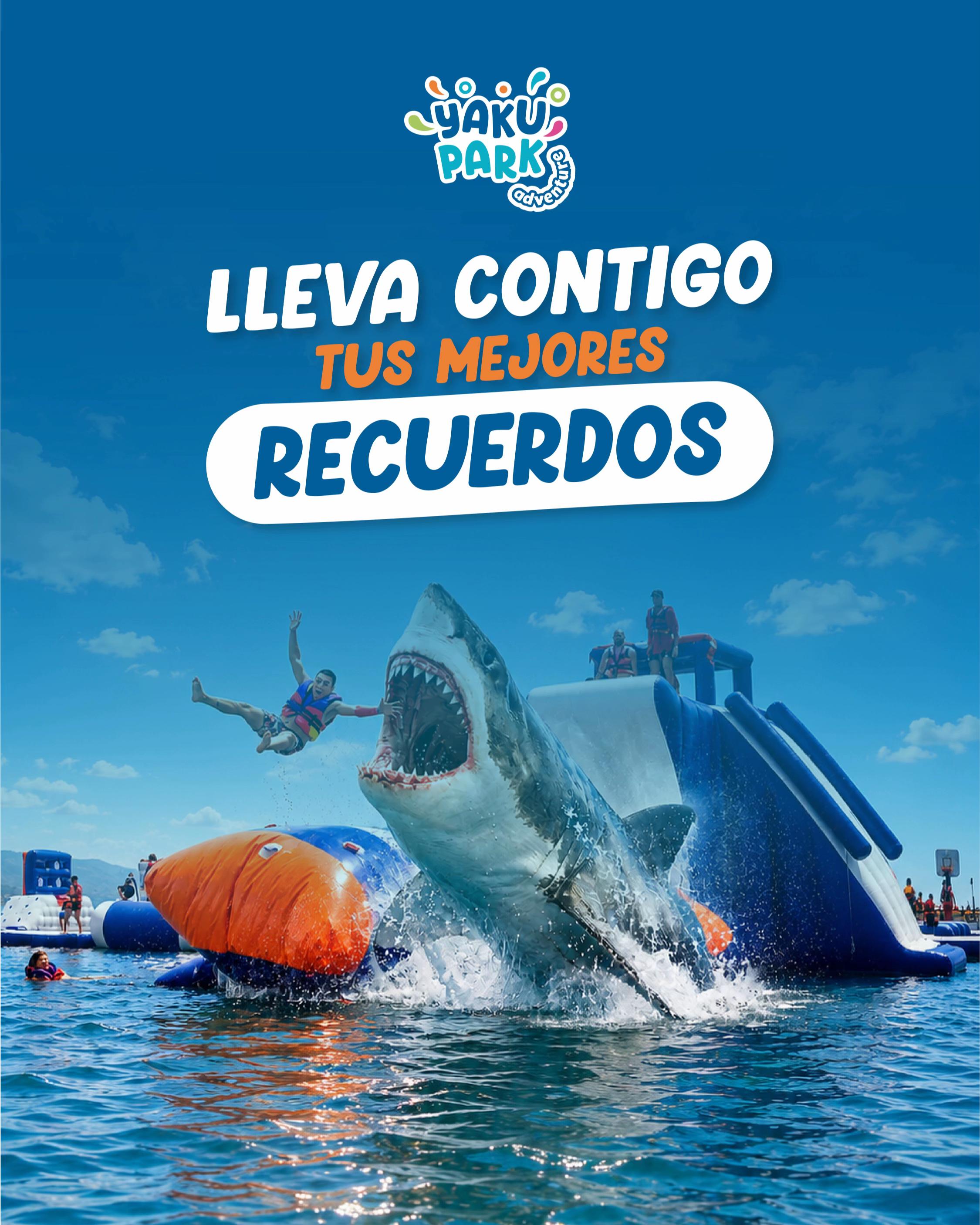 @Yakupark Paracas