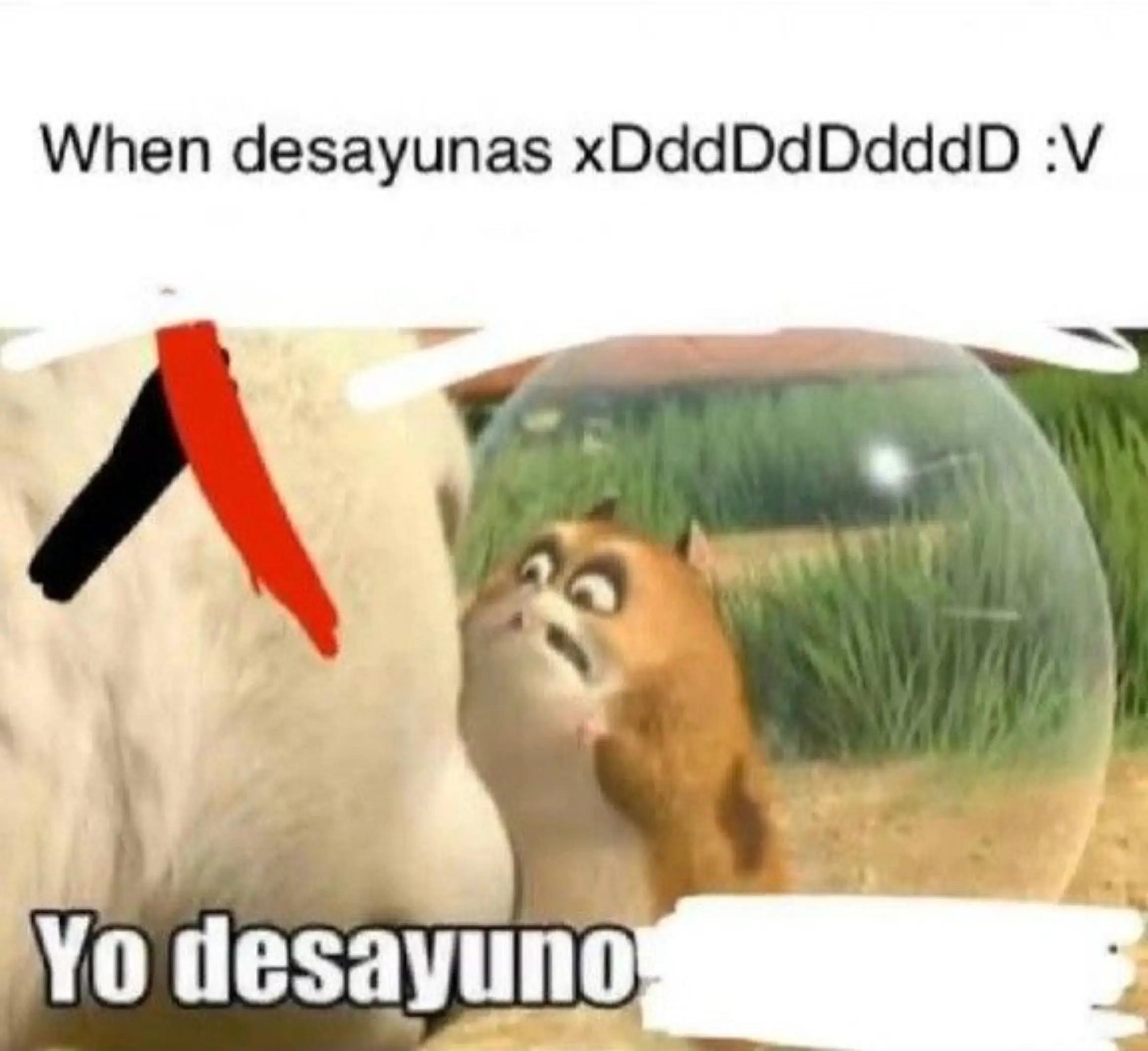 @Alfredo