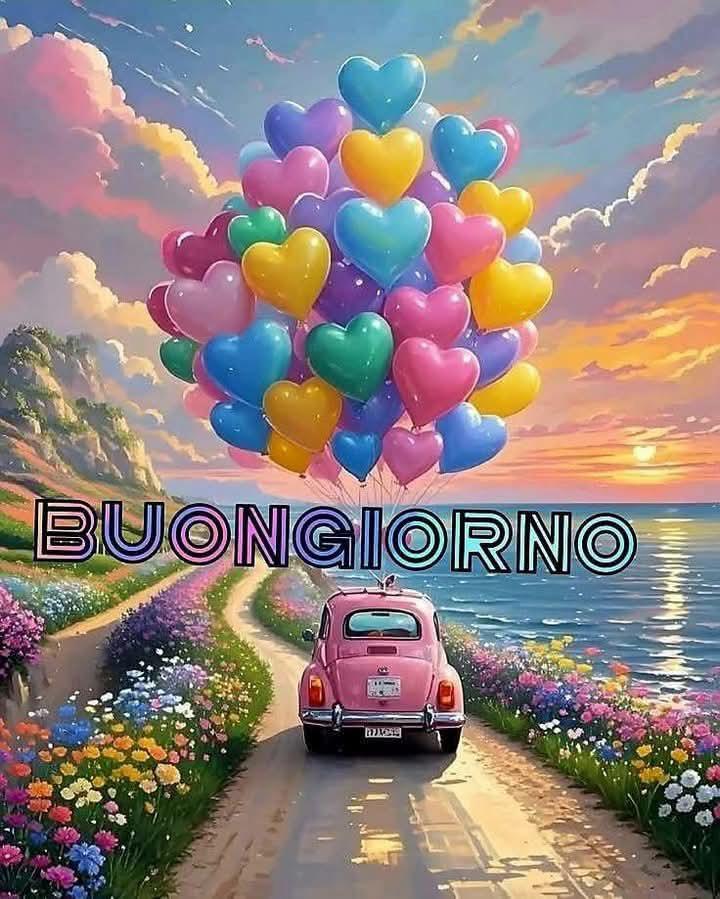 @silvanatarasco