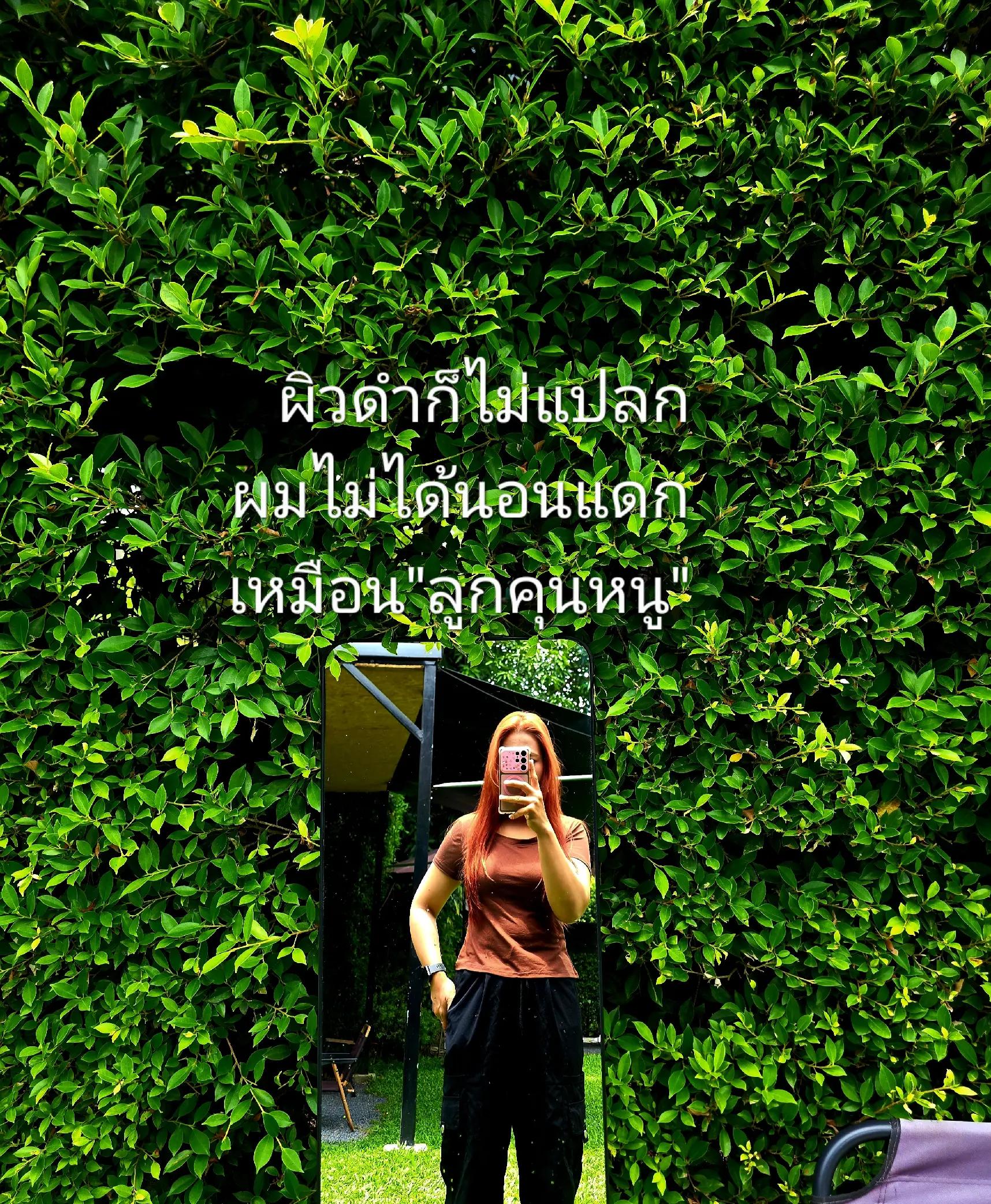 @ยืนงงในดงหมู🐷🐷