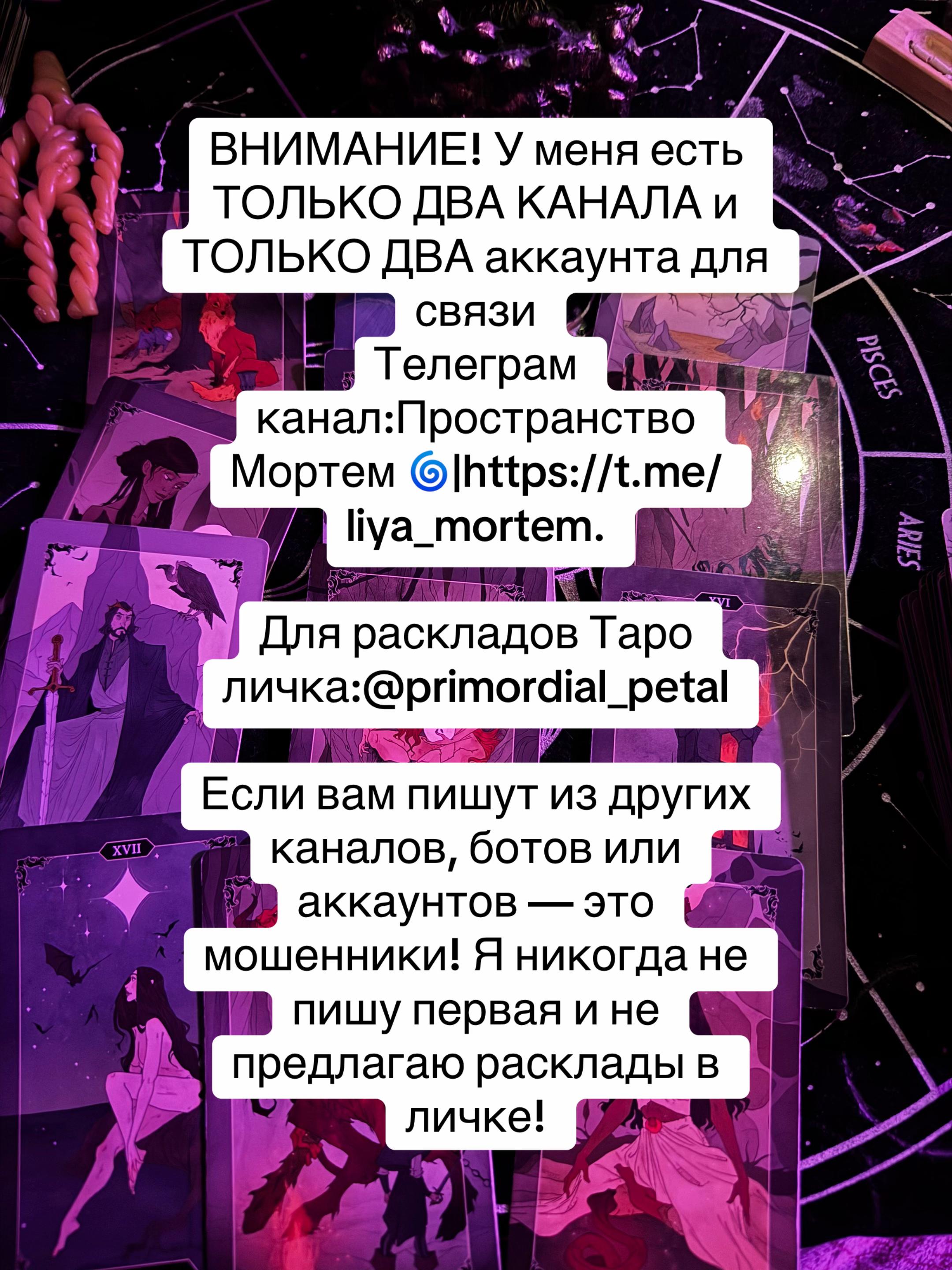 @тгк:Пространство Мортем 🌀