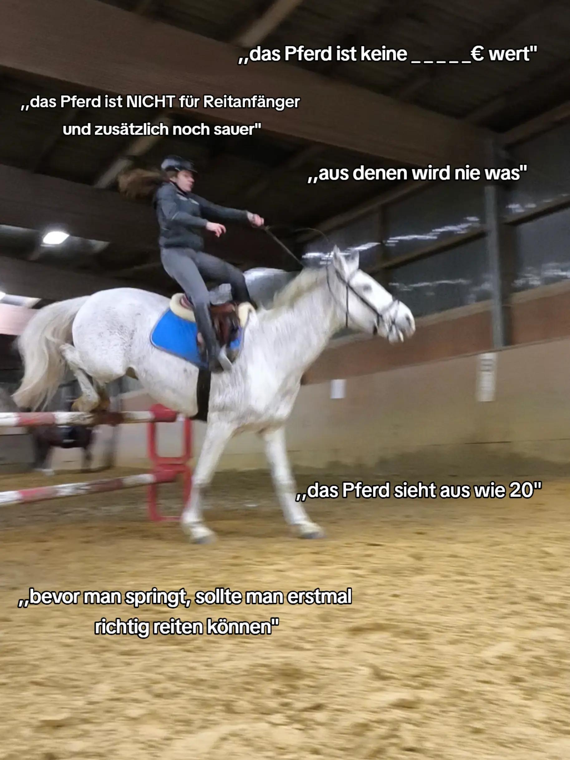 @Spring"Pony"Casha