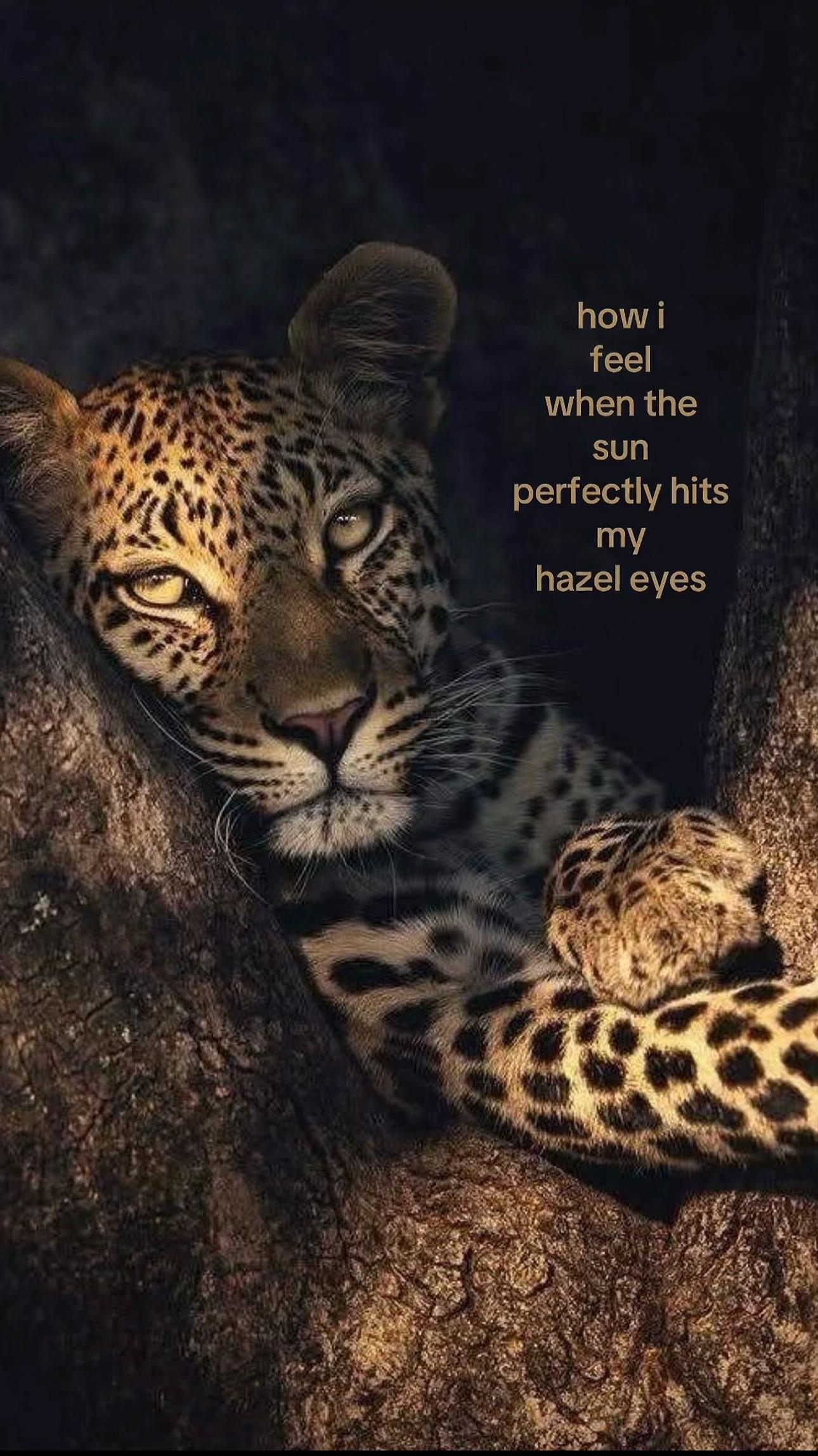 @𝓤𝓼𝓮𝓻_🌸