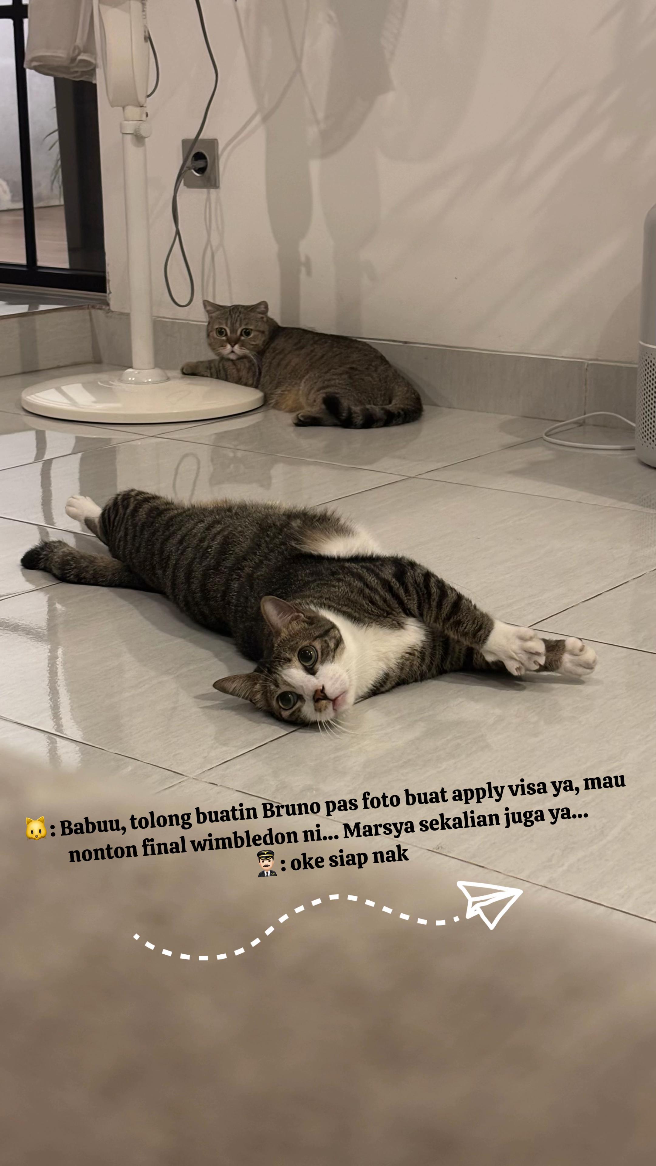 @OxaliStore