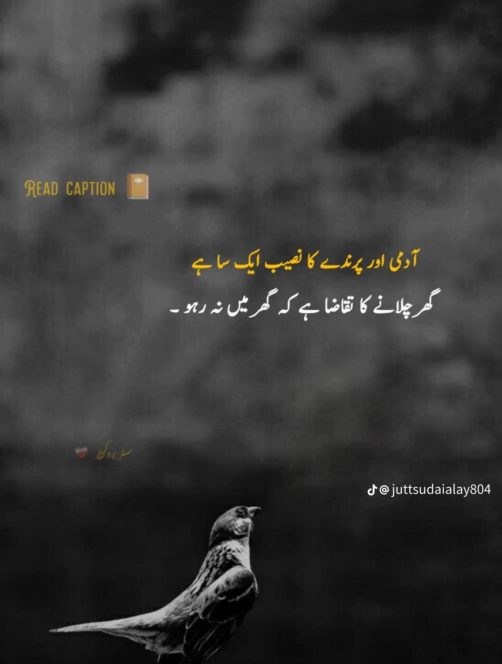 @Adnan Tariq