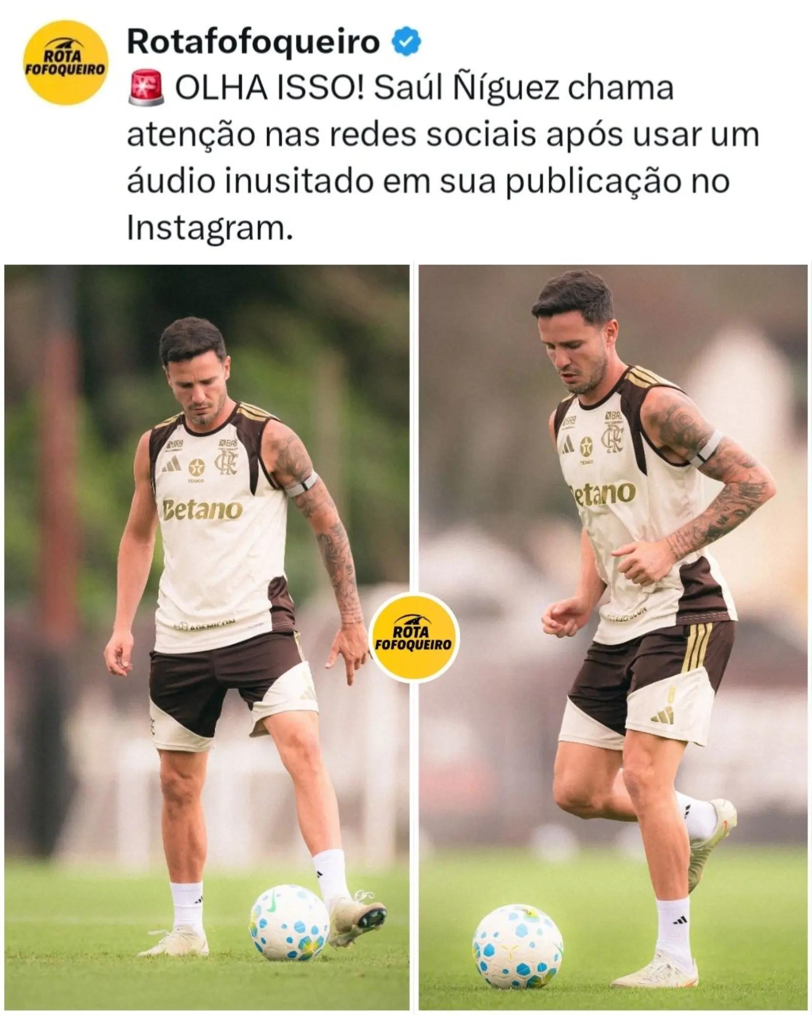 @Rotafofoqueiro