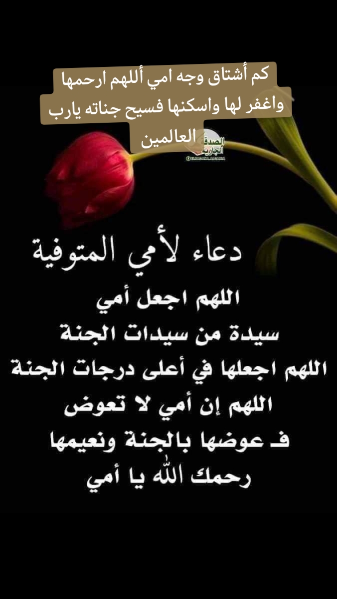 @Jawhara Luul(โค๏ธ๐ค๐) ๐