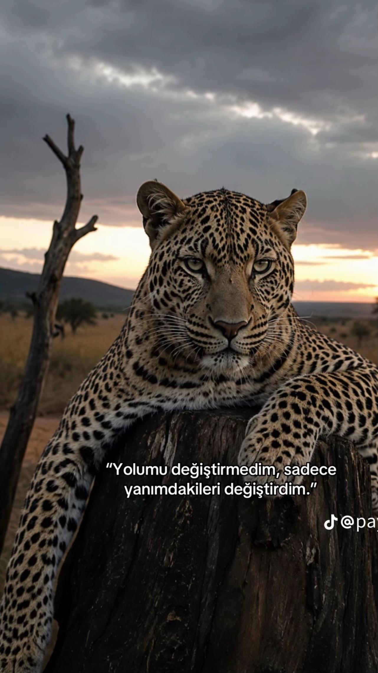 @Aşkın G&uuml;n