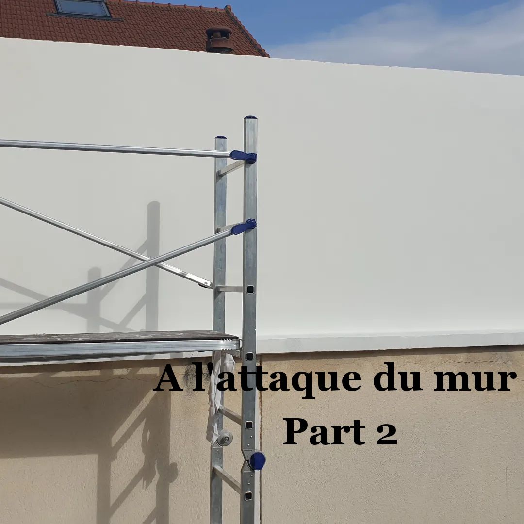 @Carine Micale