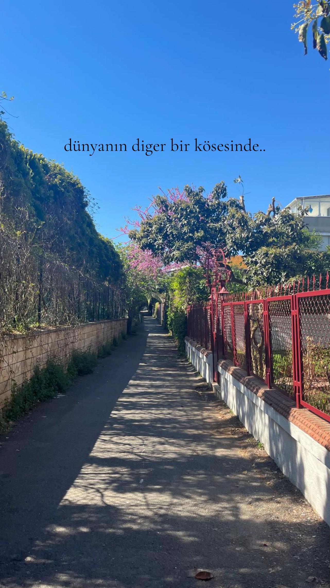 @𝒾𝓇𝑒𝓂𝓈𝓊🦢