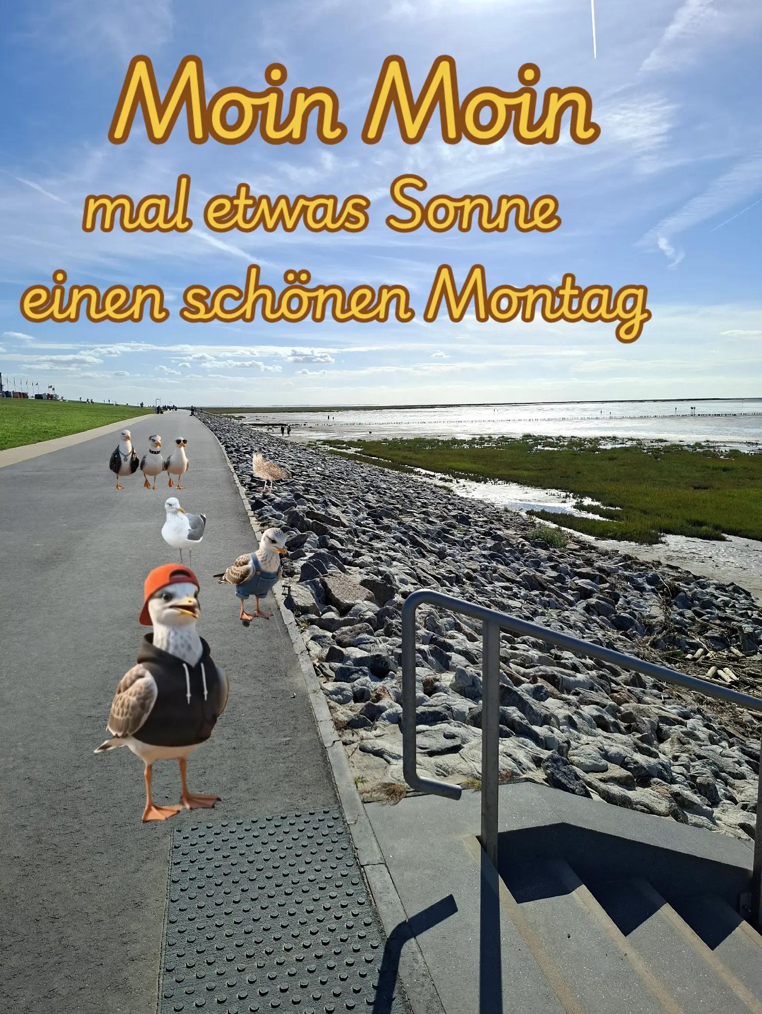 @geistlein12