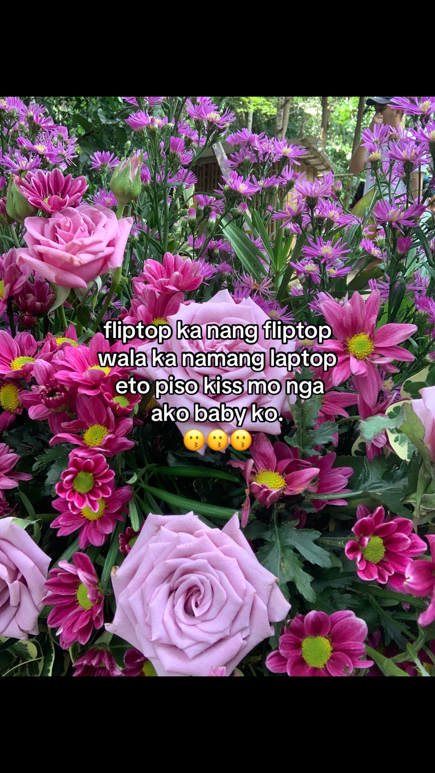 @ediwow.