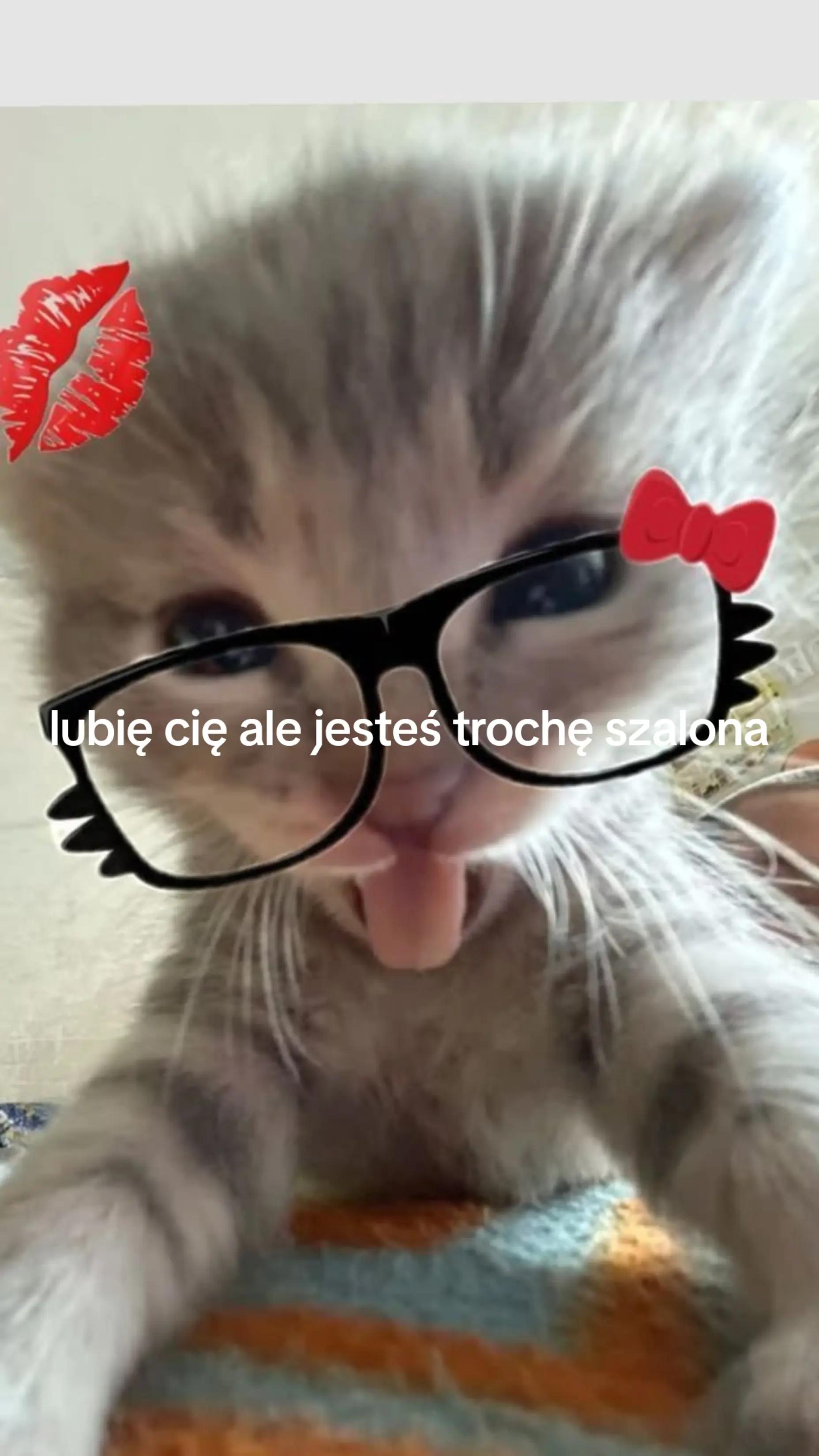 @tosiek320ok