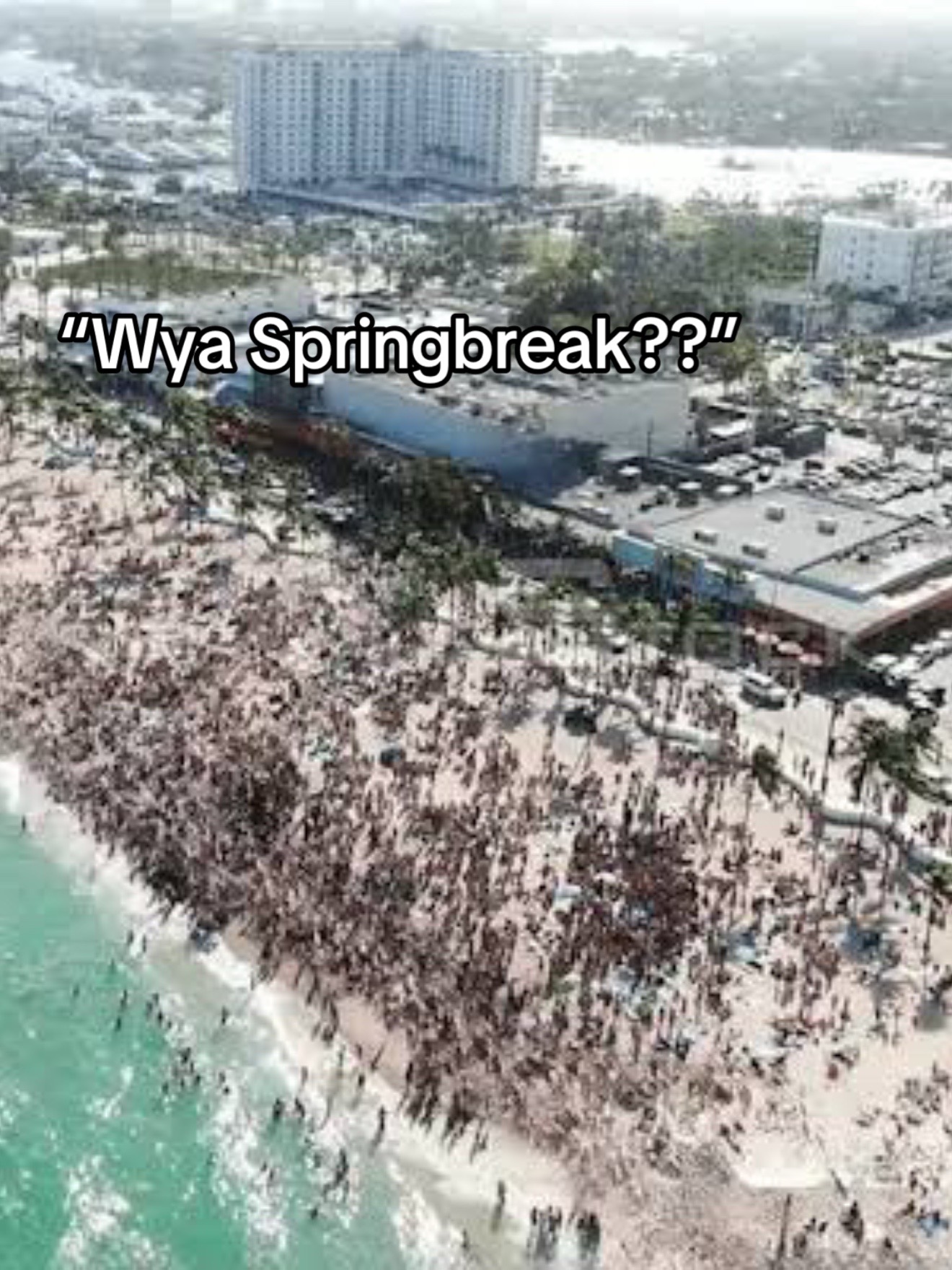 @MiamiSpringBreak