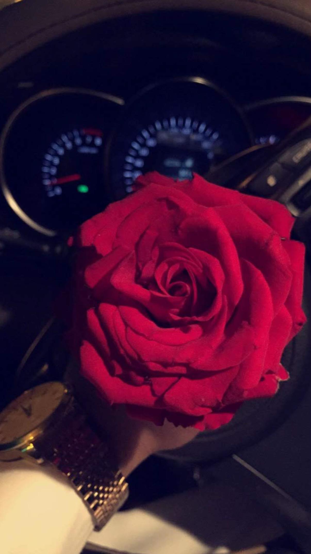 @彡[ ʜᴀssᴀɴ ]彡