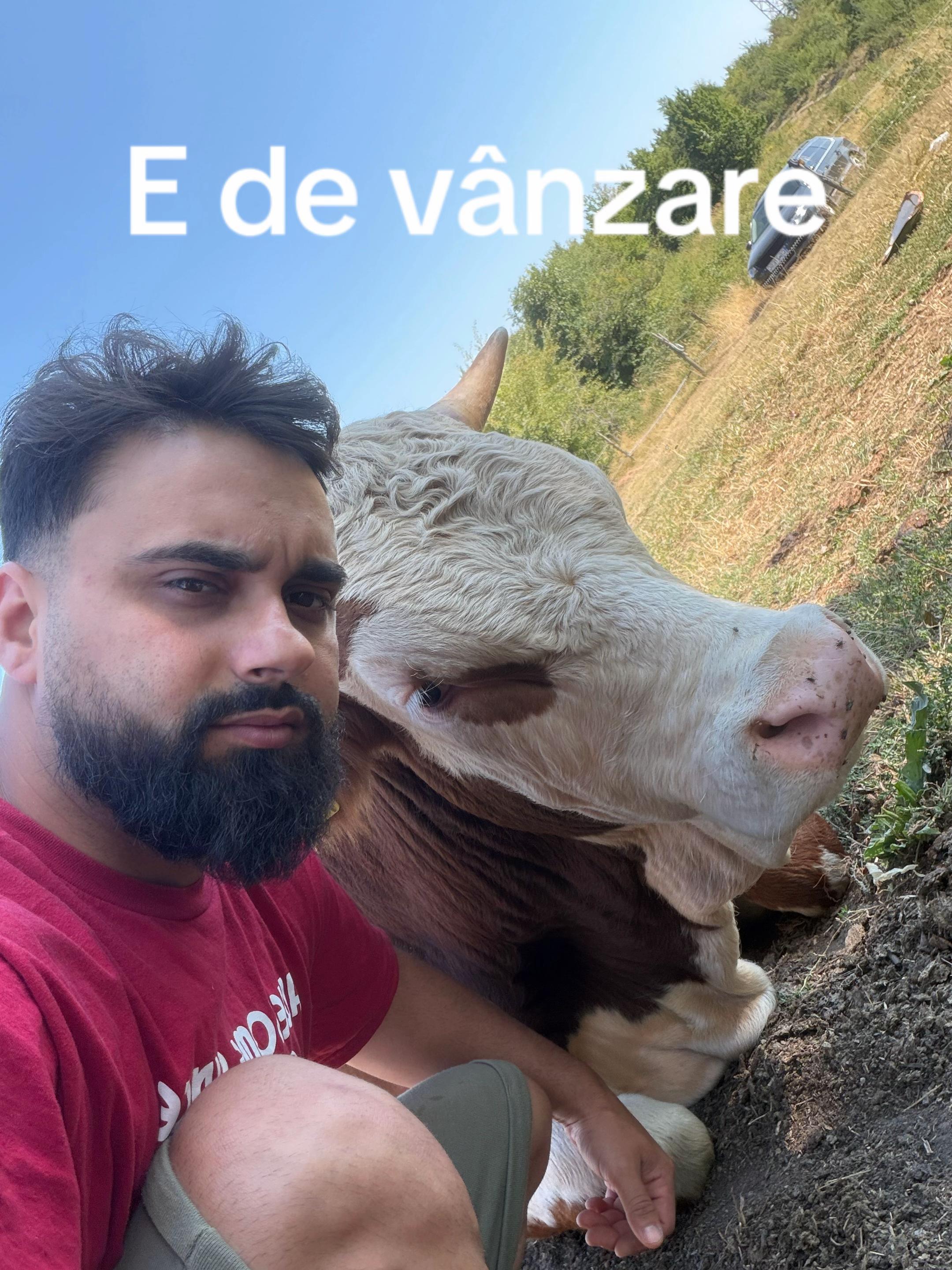 @Beny Ungureanu
