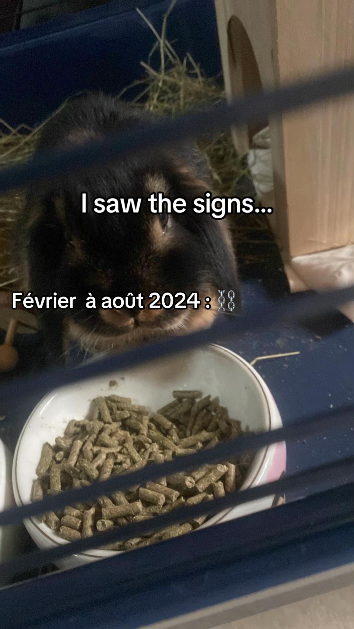 @Mes lapinouchs 🐰🐹