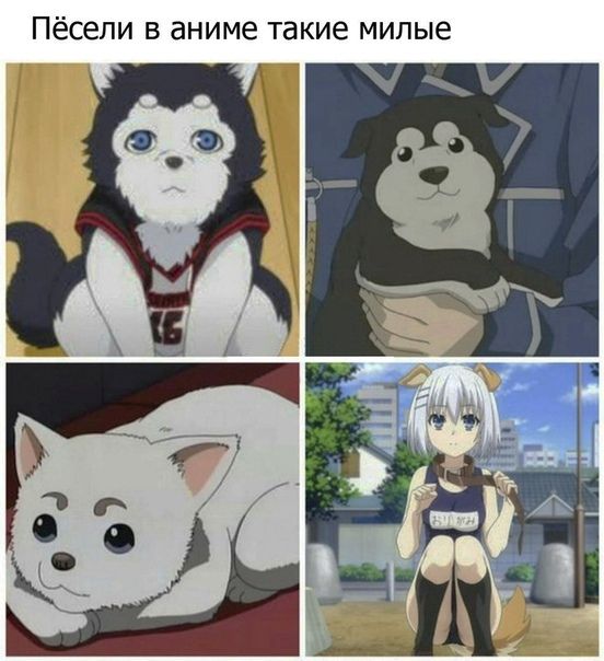 @Magmadiver_UwU