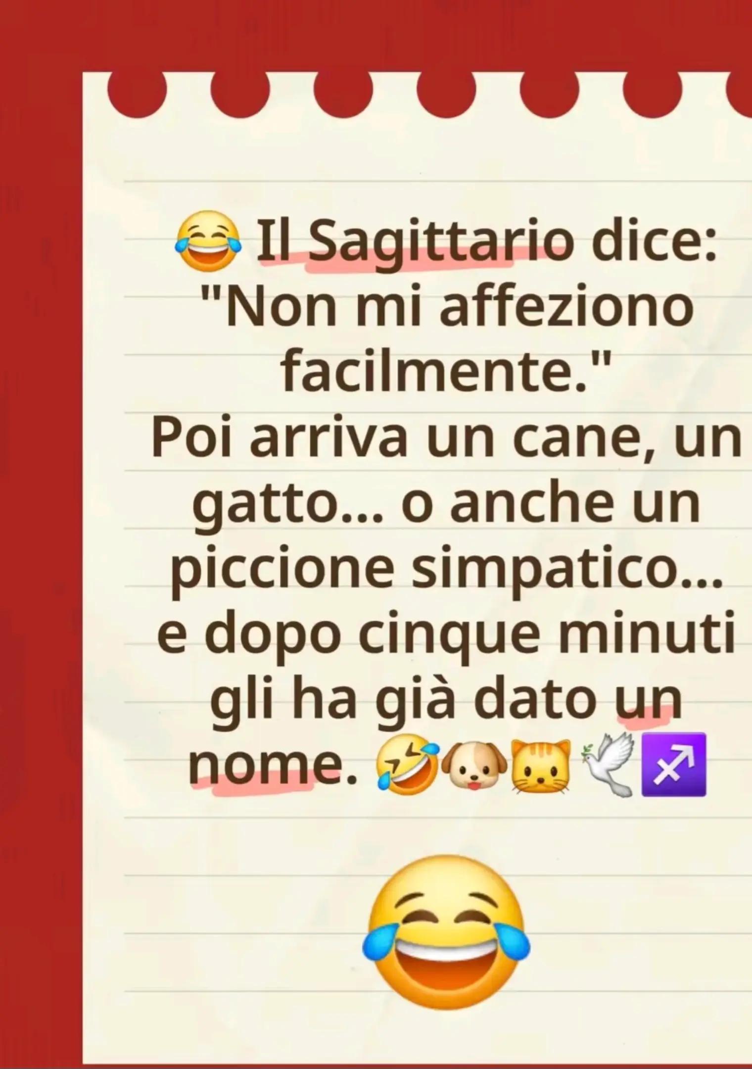 @Raffaellaraffa