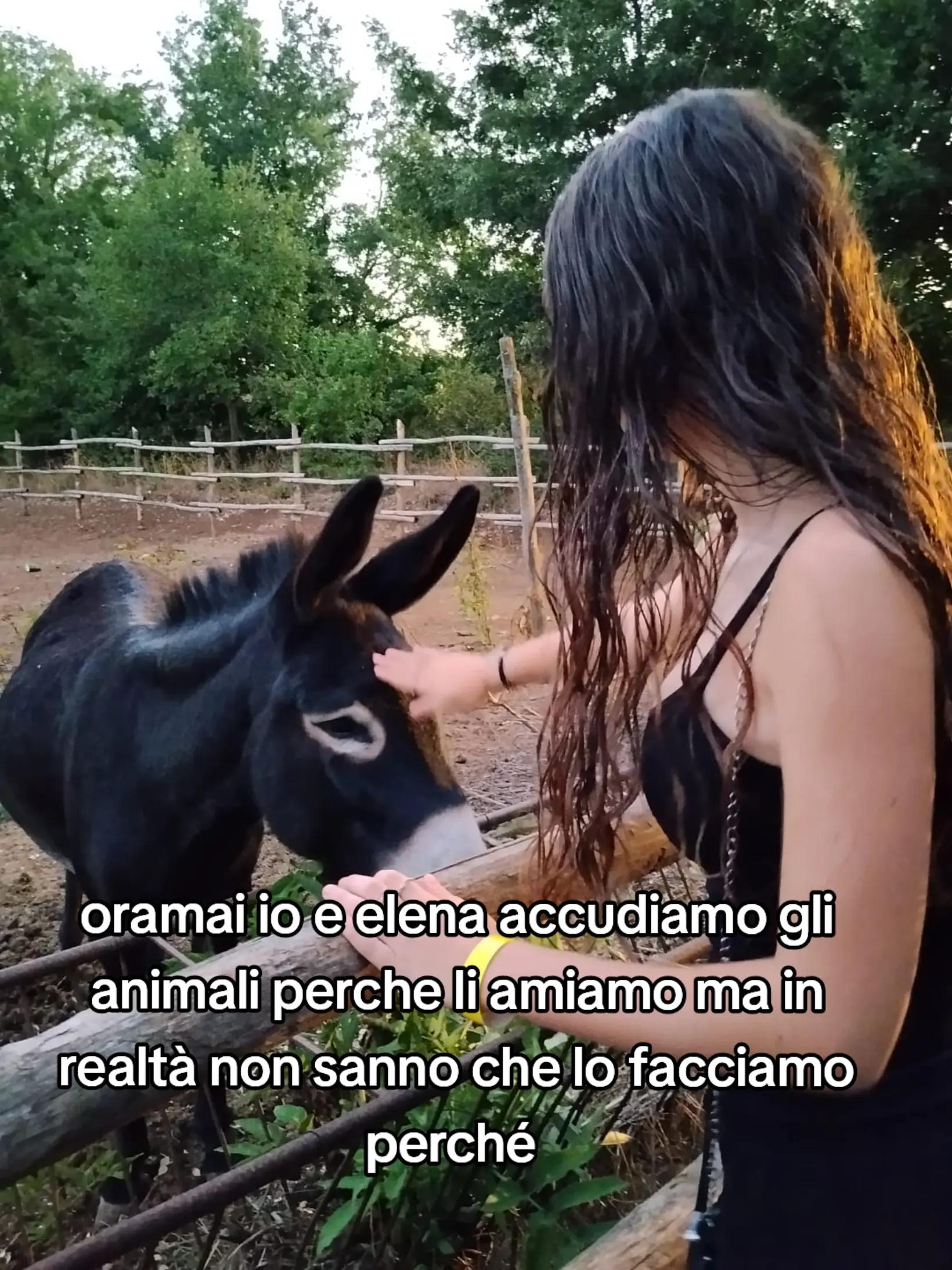 @spammm